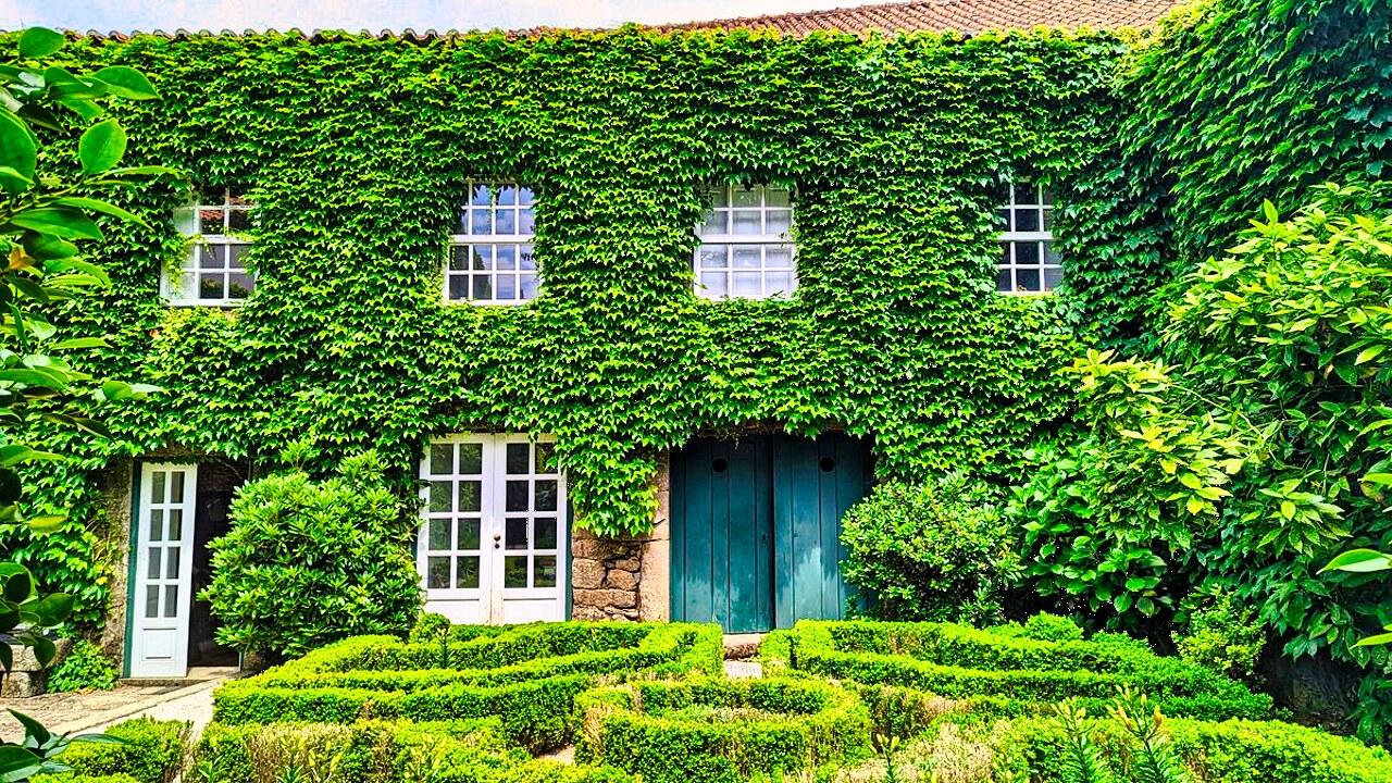Douro Valley Small-Group Wine & River Cruise Day Trip from Porto