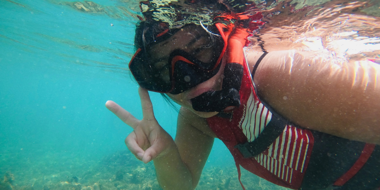 San Juan Shore Snorkeling with Turtles & Free Videos
