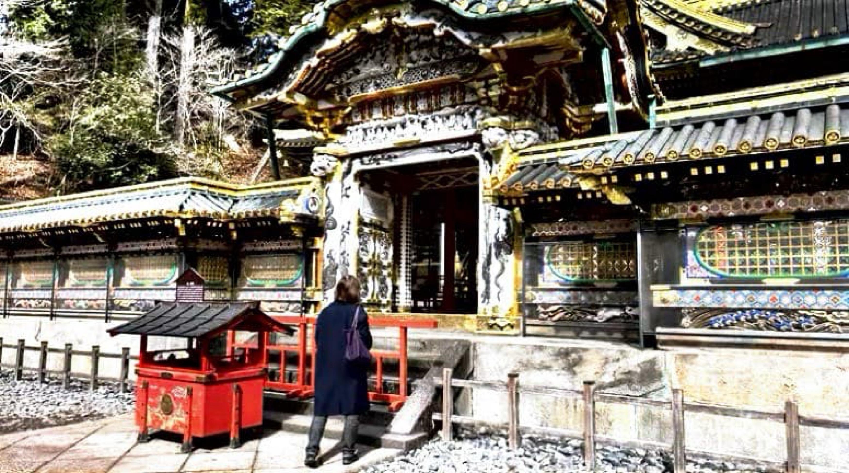 Nikko Photography Day Tour from Tokyo – Private & Customizable