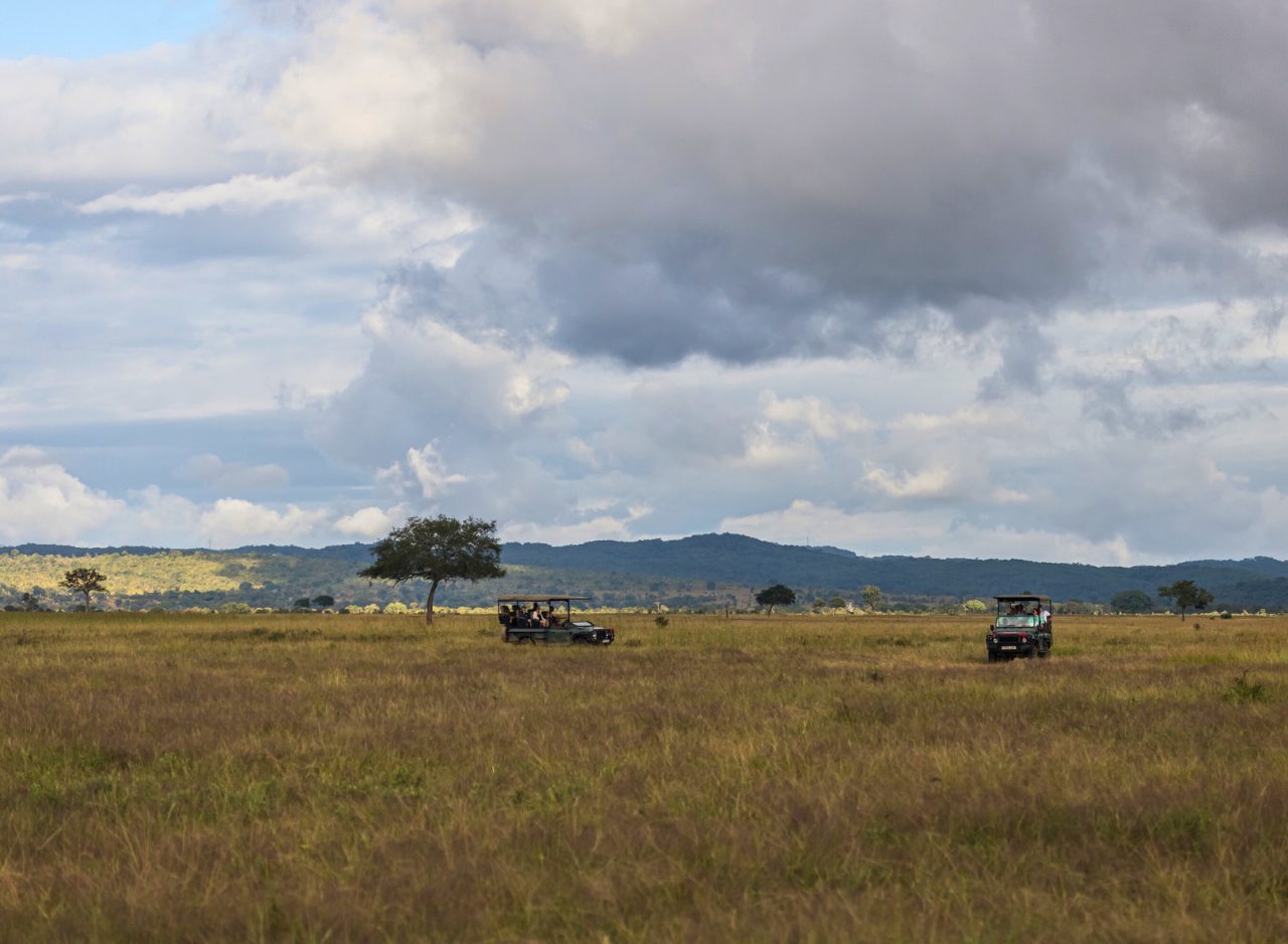 Zanzibar to Mikumi: Fly-In Safari Day Trip by Twin-Engine Plane