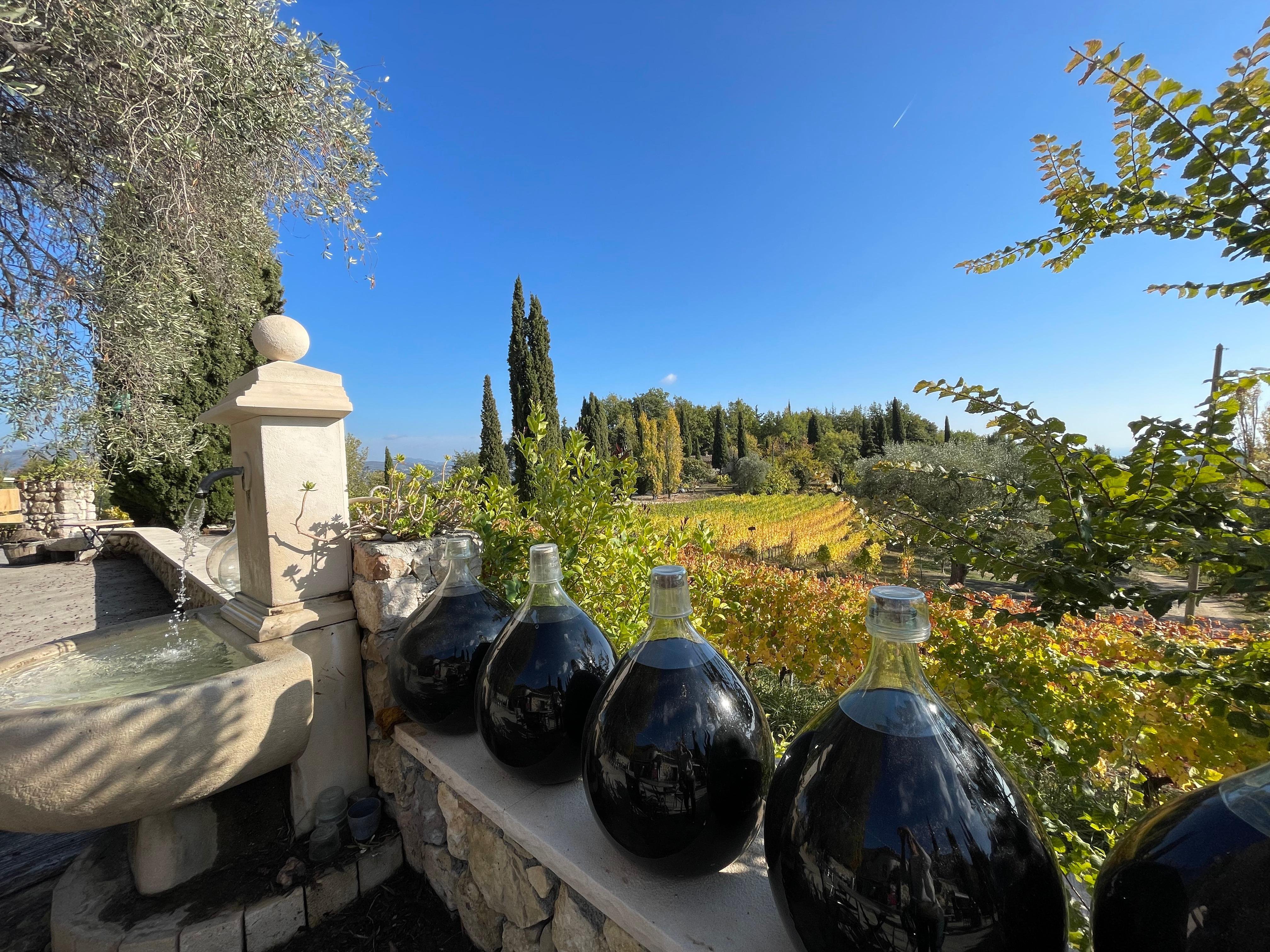 Bellet Wine & Saint-Paul de Vence Full-Day Tour from Nice