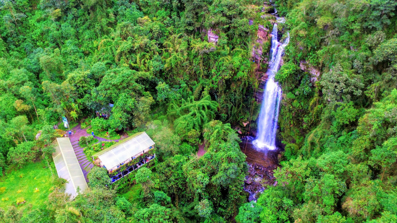 La Chorrera Waterfall Wellness Trek