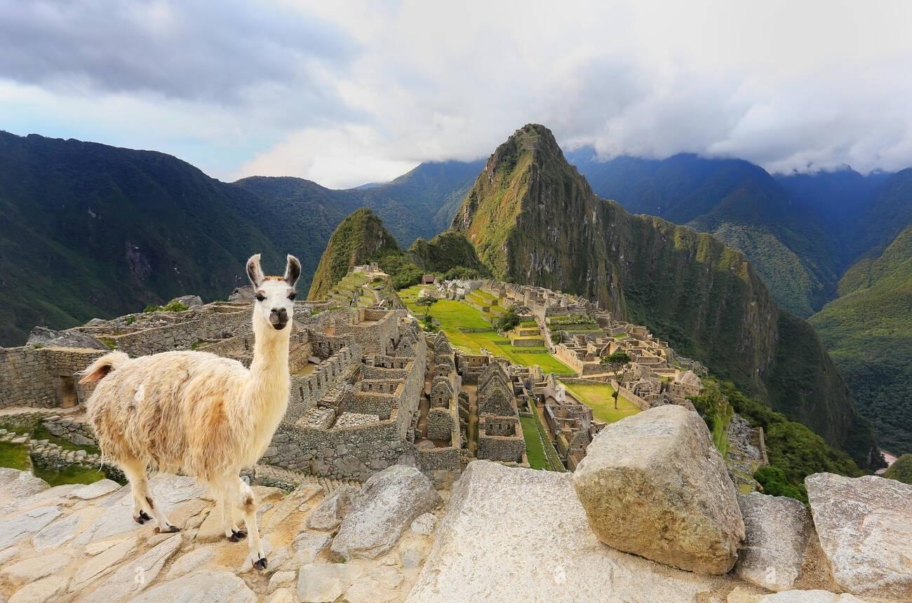 Machu Picchu Official Entry Ticket