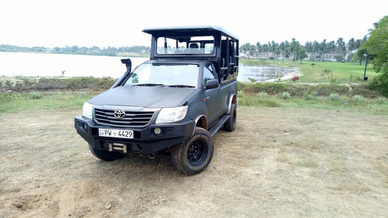 Yala National Park Wildlife Safari: Morning, Afternoon, or Full-Day