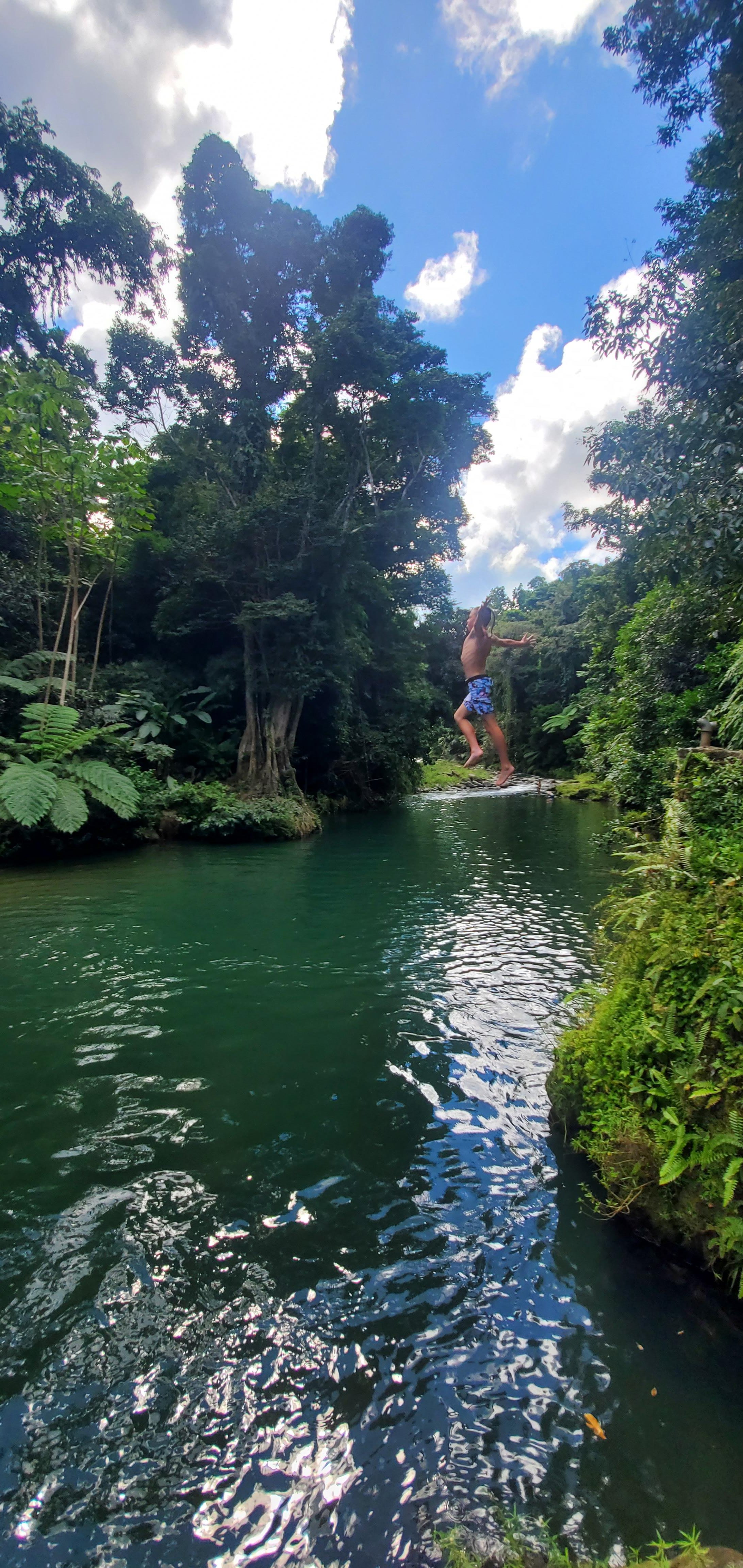 El Yunque Rainforest Adventure: Ziplining, River Swim & Luquillo Beach