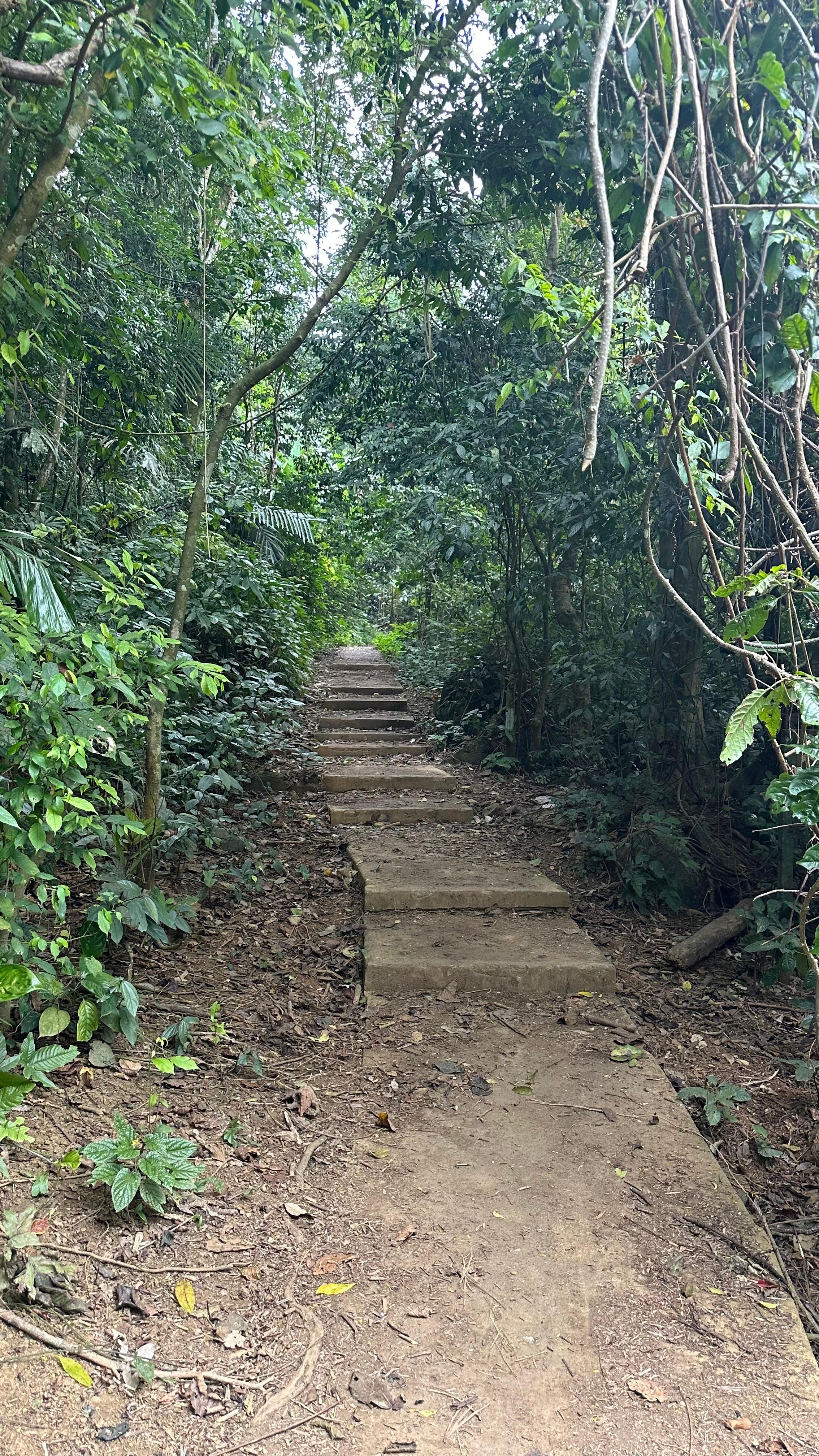 Cuc Phuong National Park Day Trek & Bear Sanctuary from Ninh Binh