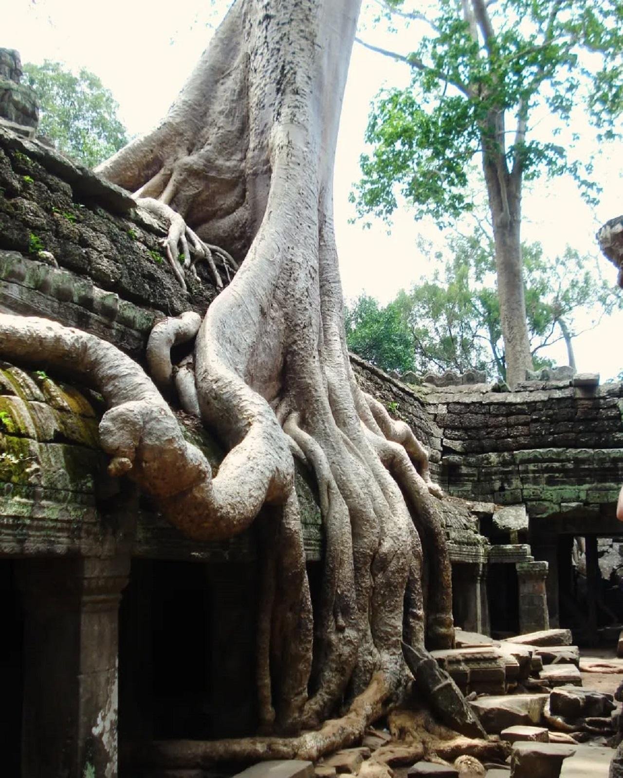 Siem Reap: Exclusive Private Angkor Wat Tour (Sunrise or Sunset)