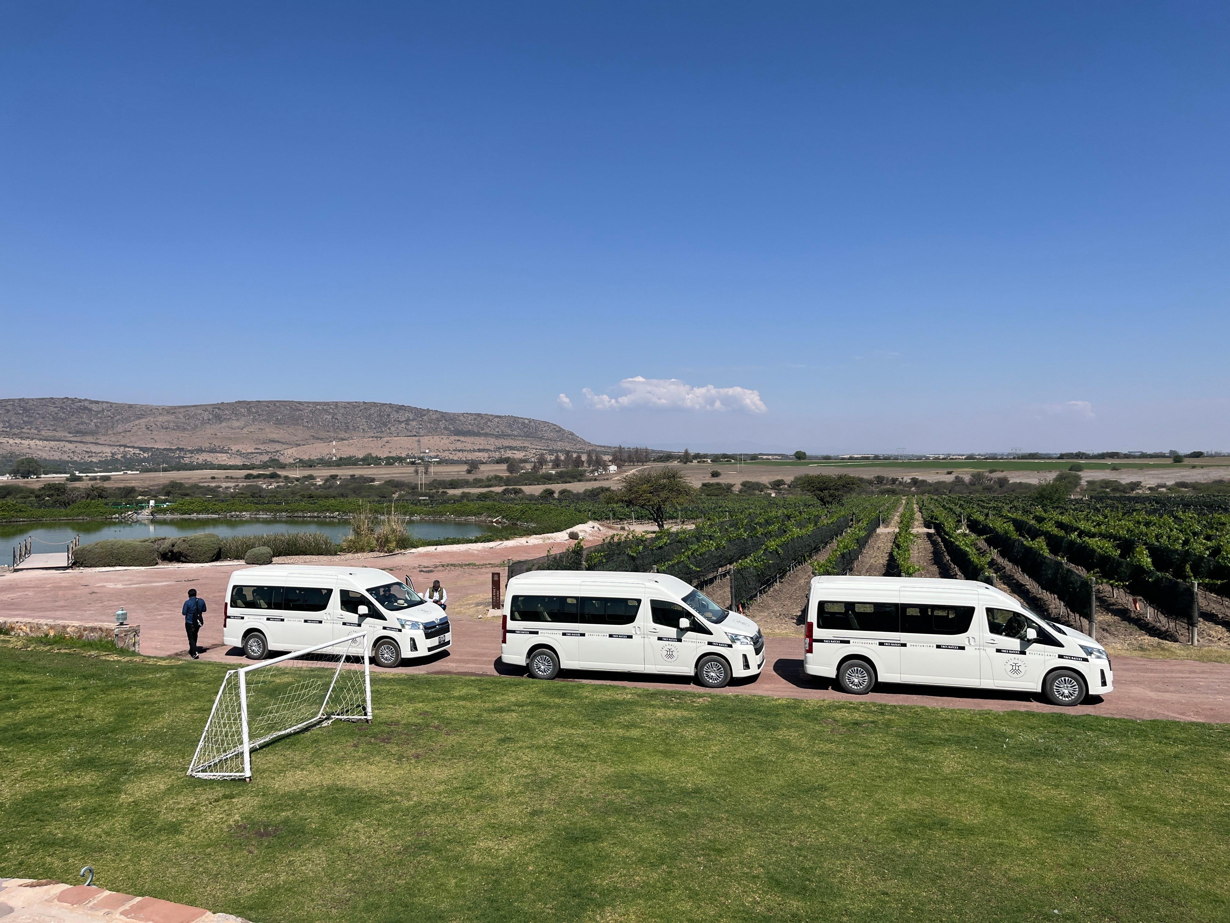 wine tour in San Miguel de Allende — photo 12
