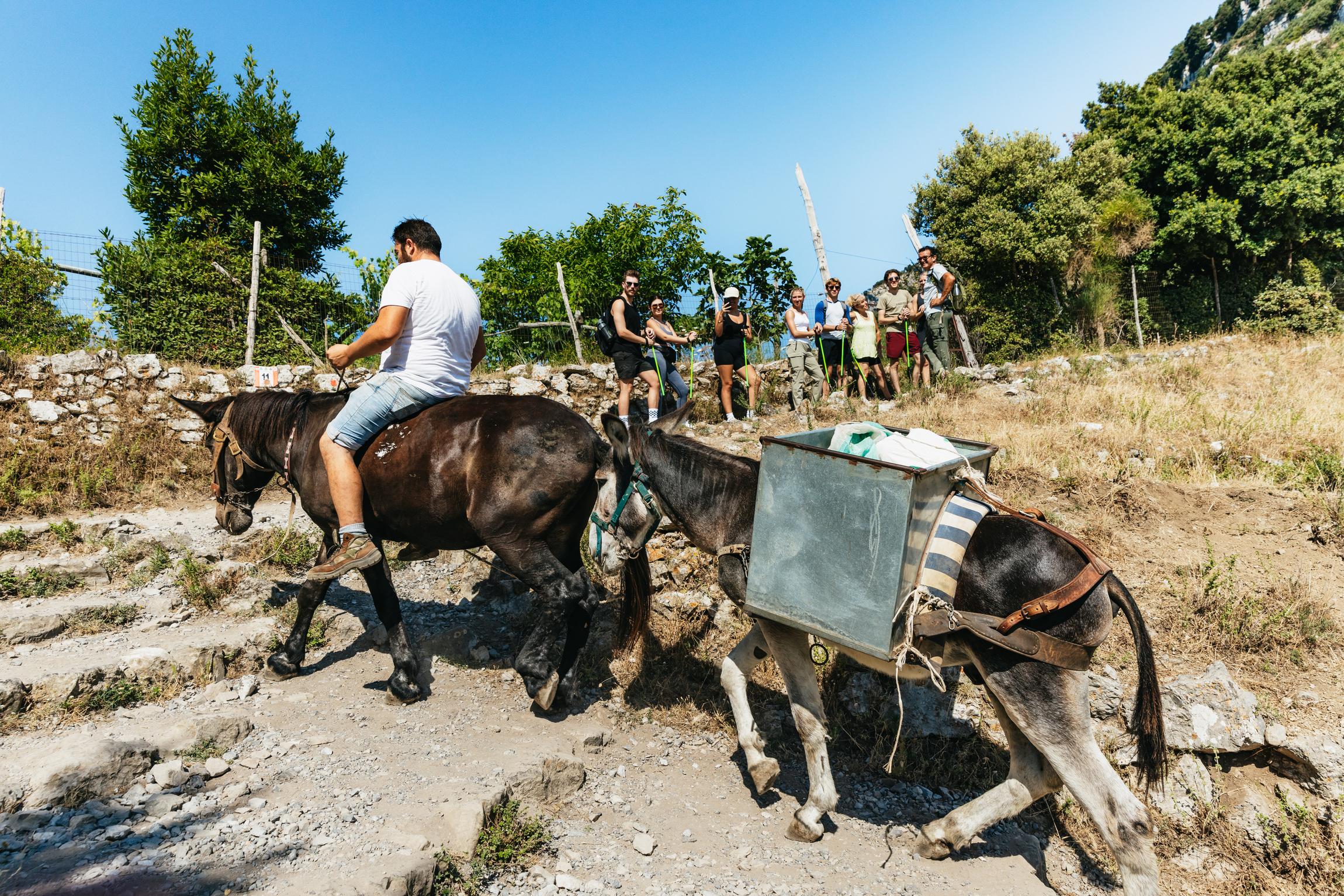 Path of the Gods Guided Hike from Sorrento with Round-Trip Transfer
