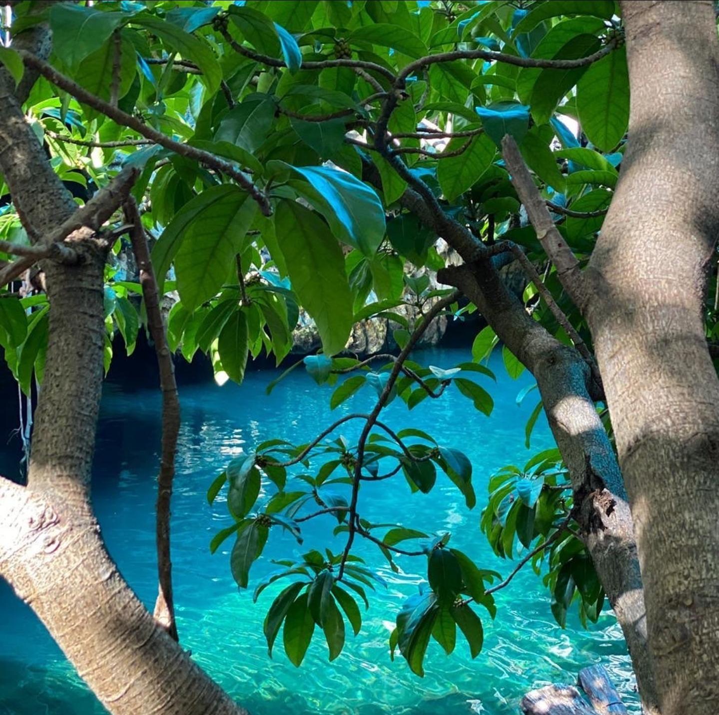 Southern Zanzibar Discovery: Blue Lagoon, Paje & Maalum Cave