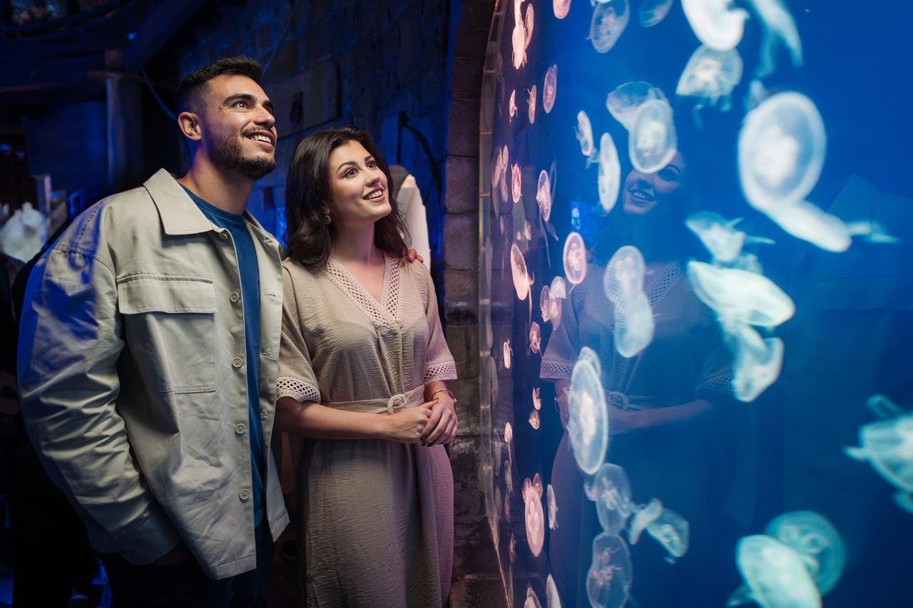 Dubai Aquarium & Underwater Zoo Exploration