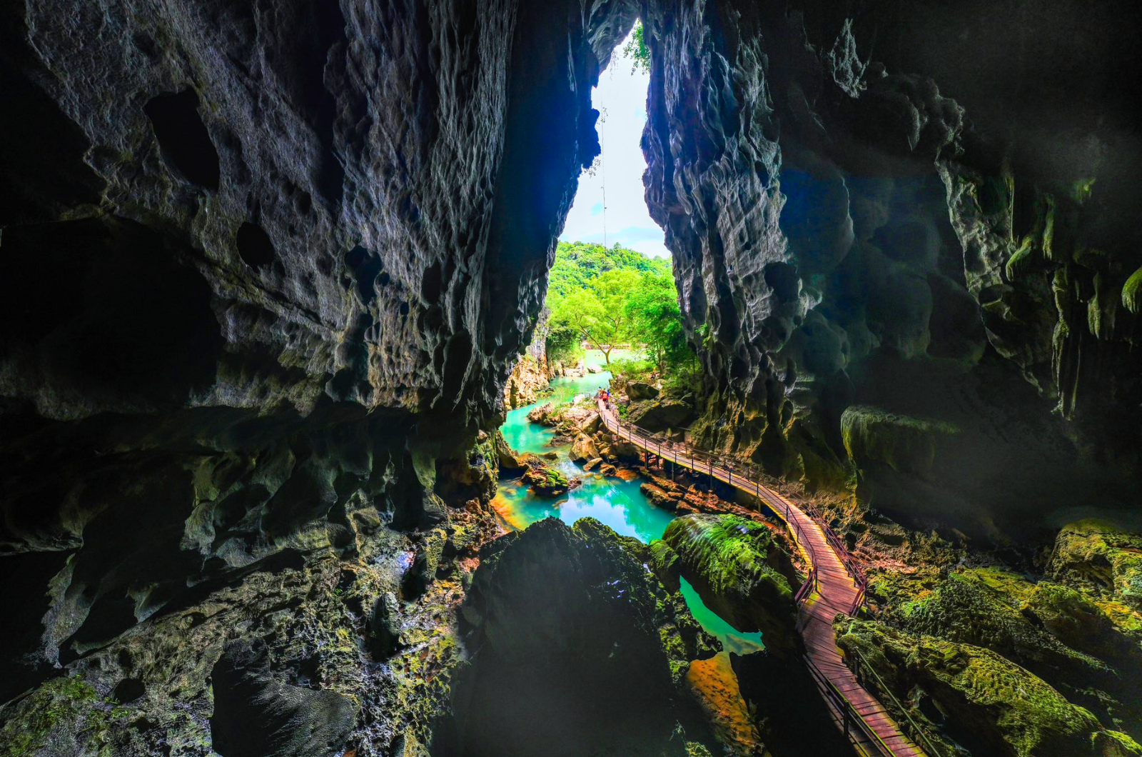 Phong Nha: Phong Nha Cave Boat Tour & Dark Cave Adventure