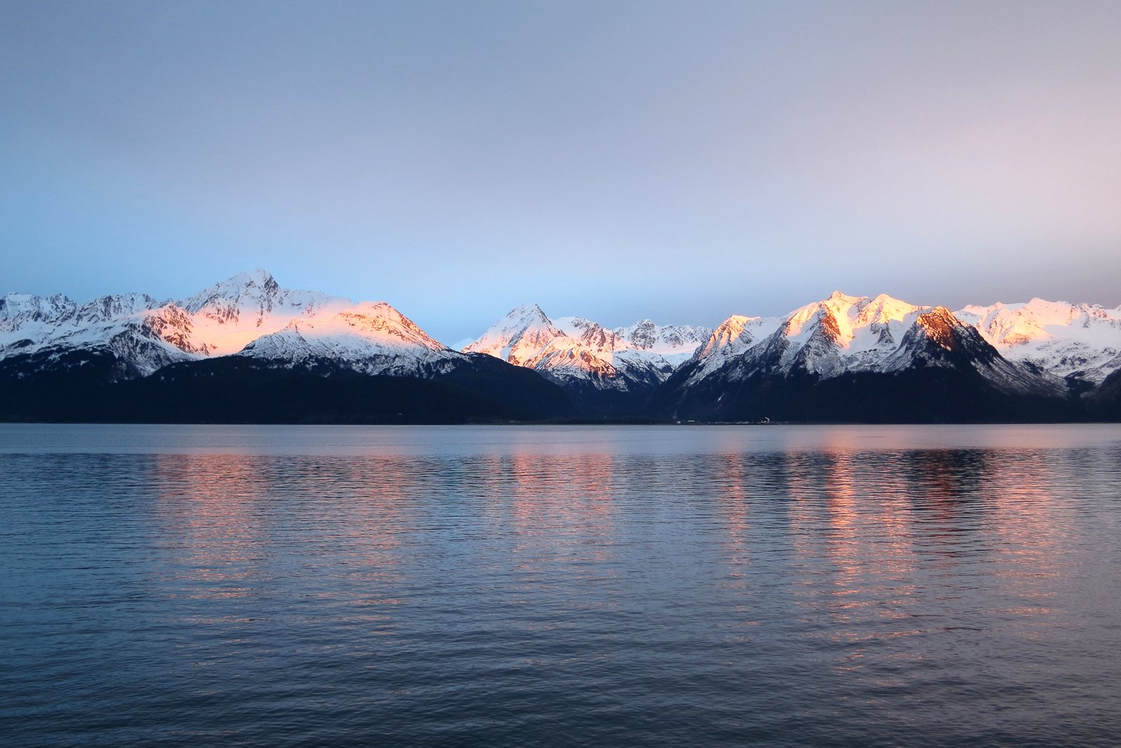 whale watching in Seward — photo 10