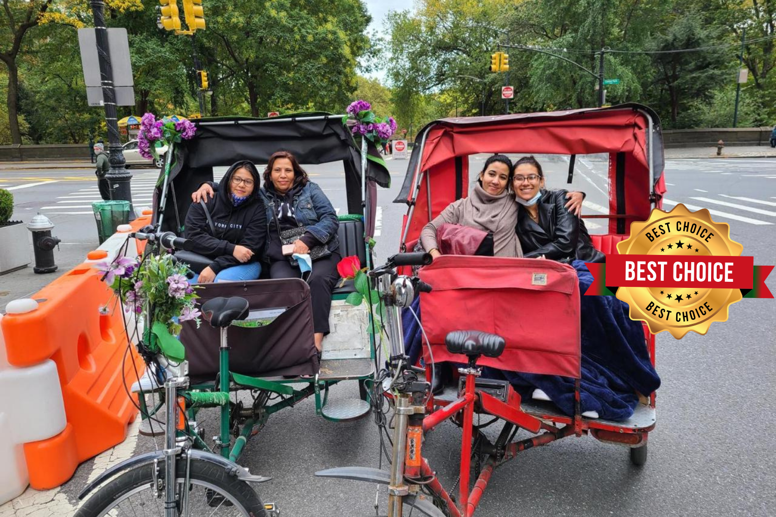 NYC Central Park Guided Pedicab Experience