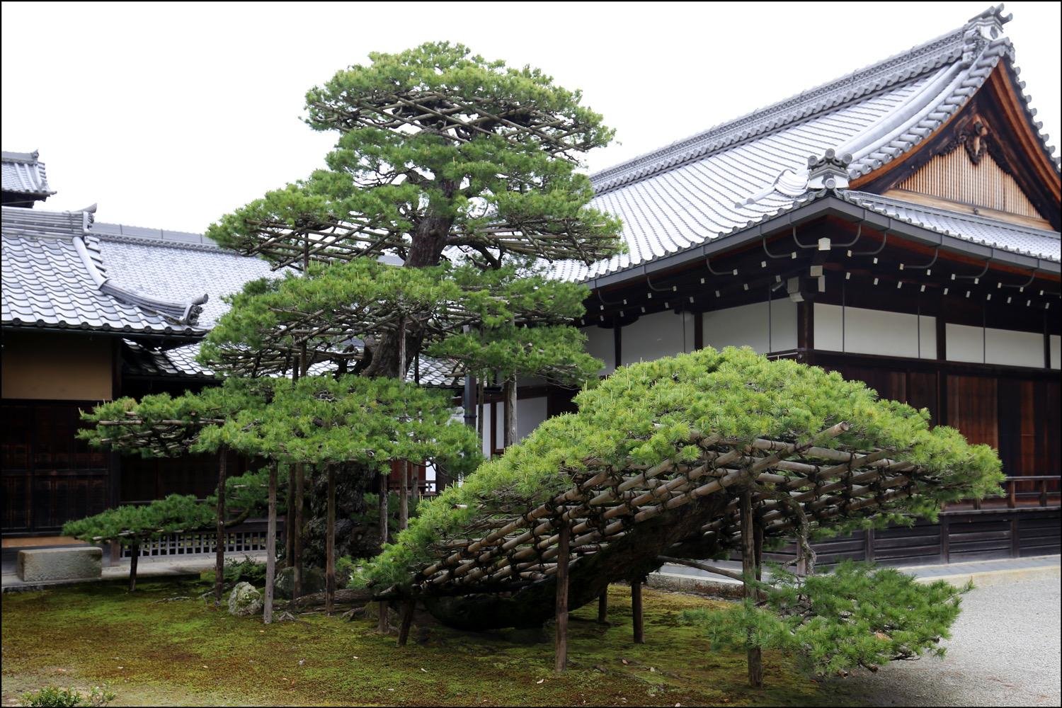 Kyoto: Privat heldagstur til høydepunktene med bil og guide
