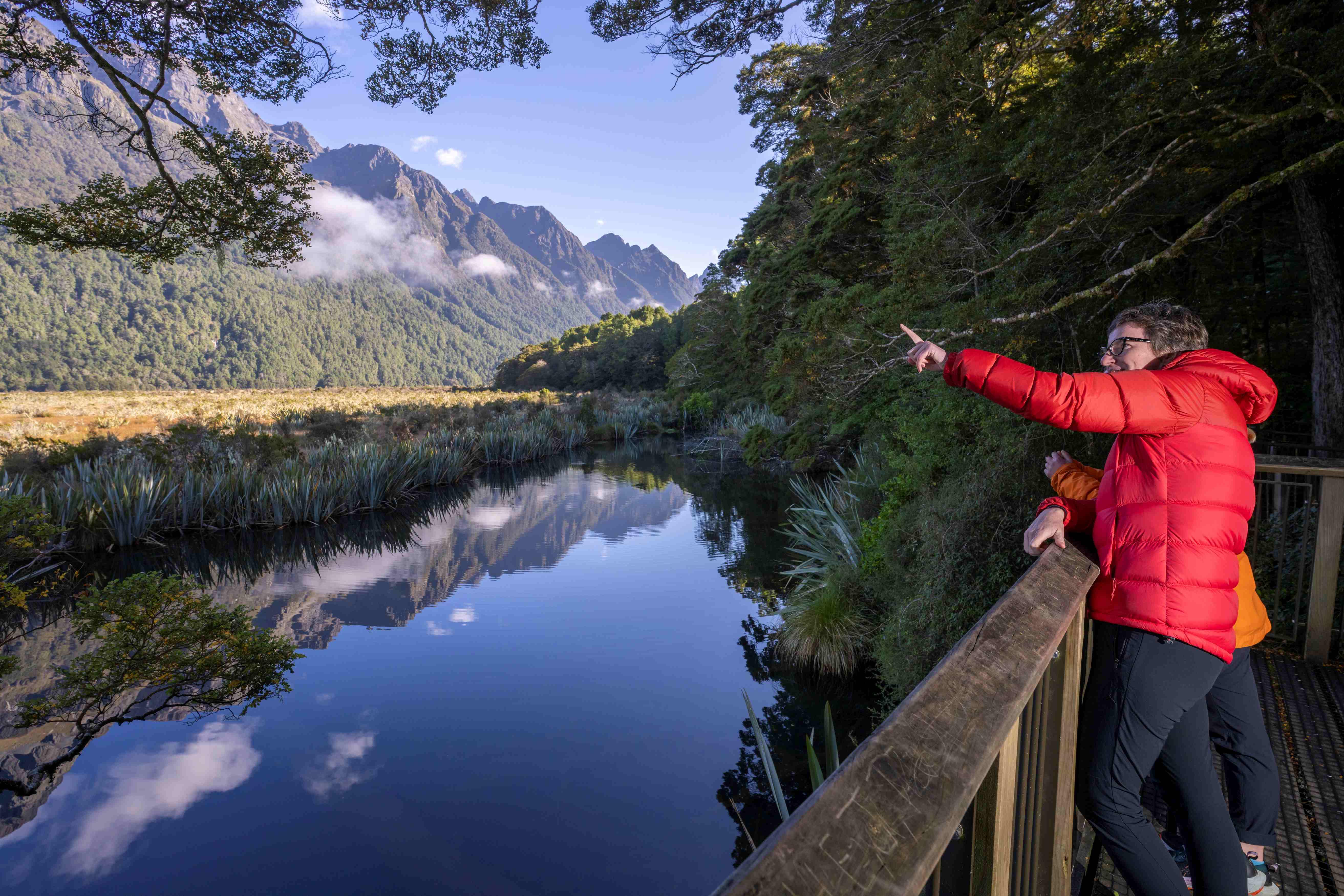 Milford Sound tour photo — image 7