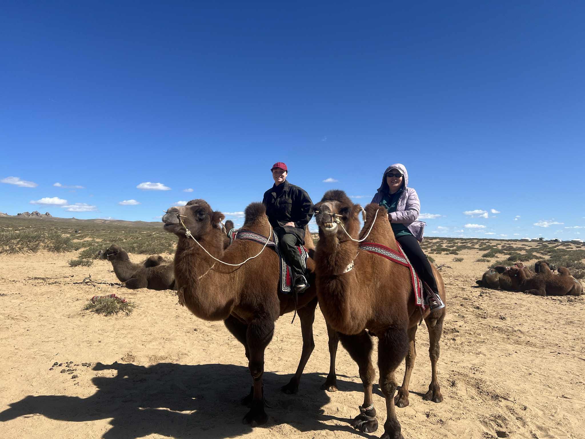 Mini Gobi & Terelj 3-Day Tour from Ulaanbaatar