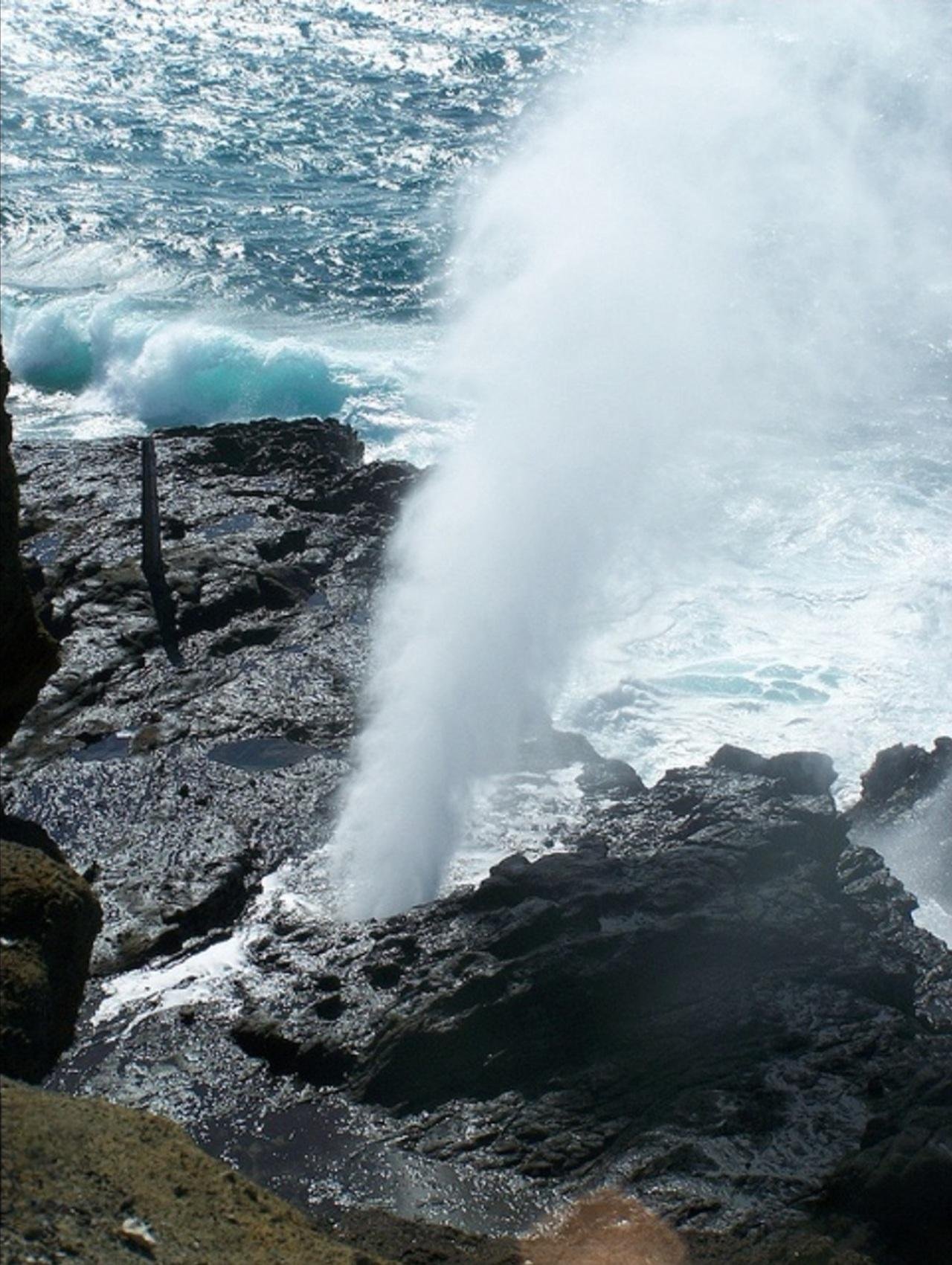 Oahu: Circle Island Full-Day Tour | Beach Stop & Free Wi-Fi - 2026 (Verified Reviews)