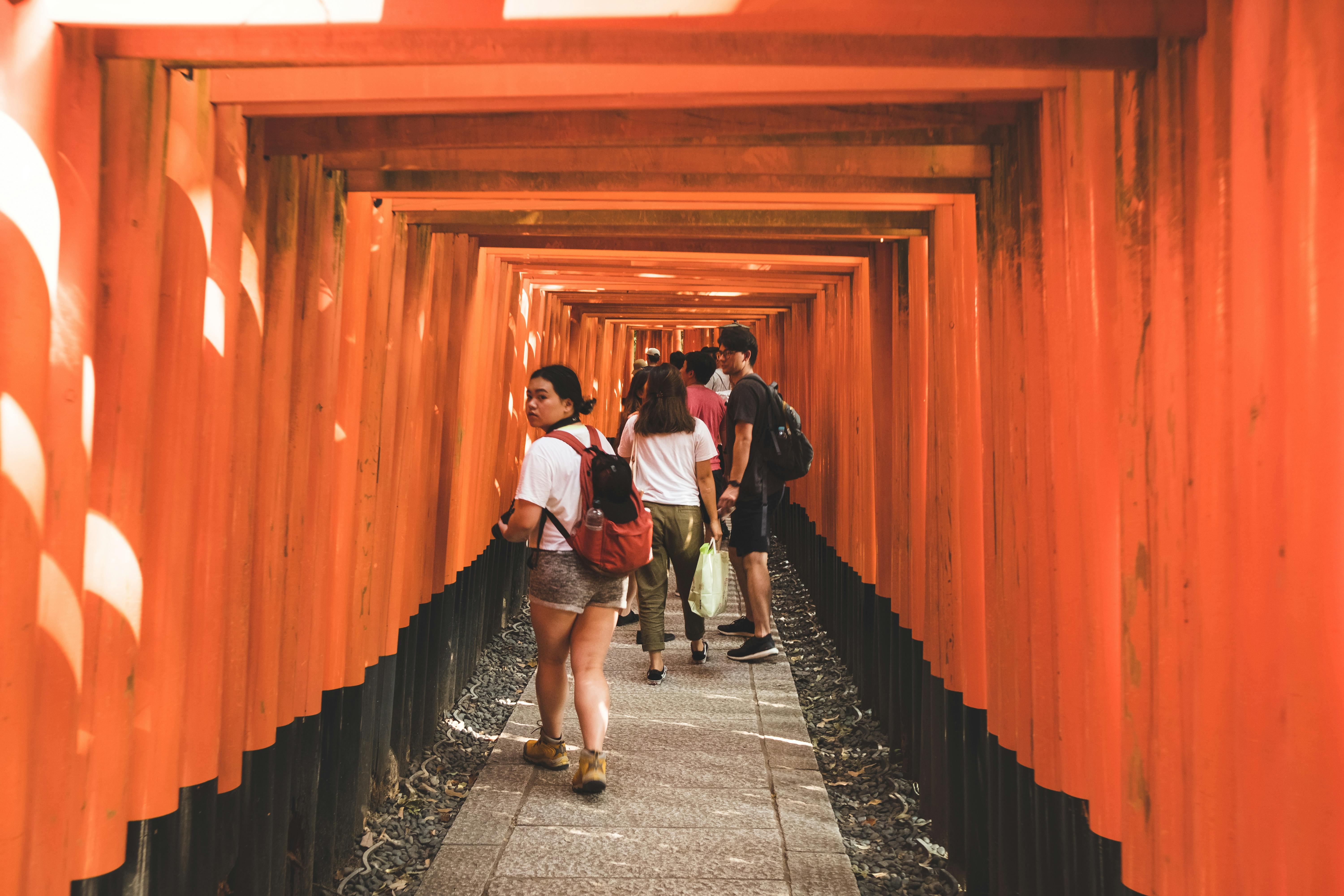 嵐山ガイド付きウォーキングツアー：竹林、禅寺、モンキーパーク