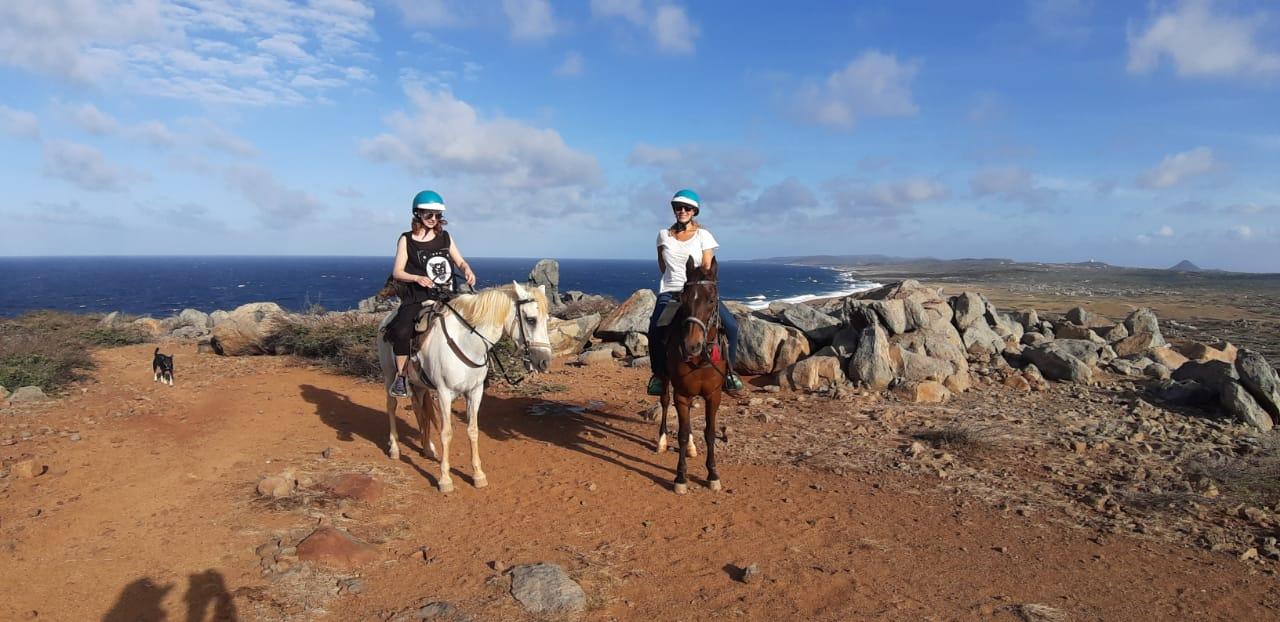 Private Advanced Horseback Riding Adventure in Aruba