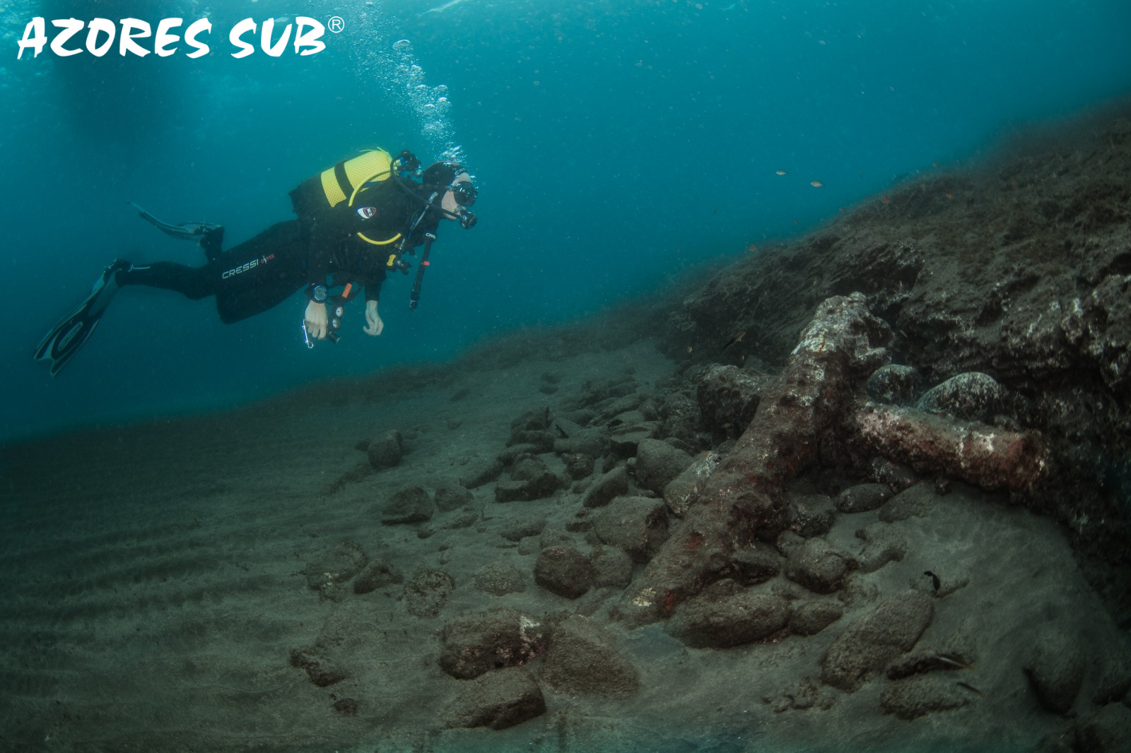Introduction to Scuba Diving at Vila Franca Islet