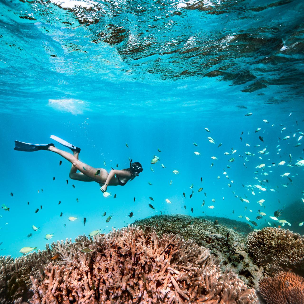 Tun Sakaran Marine Park Island Adventure from Semporna