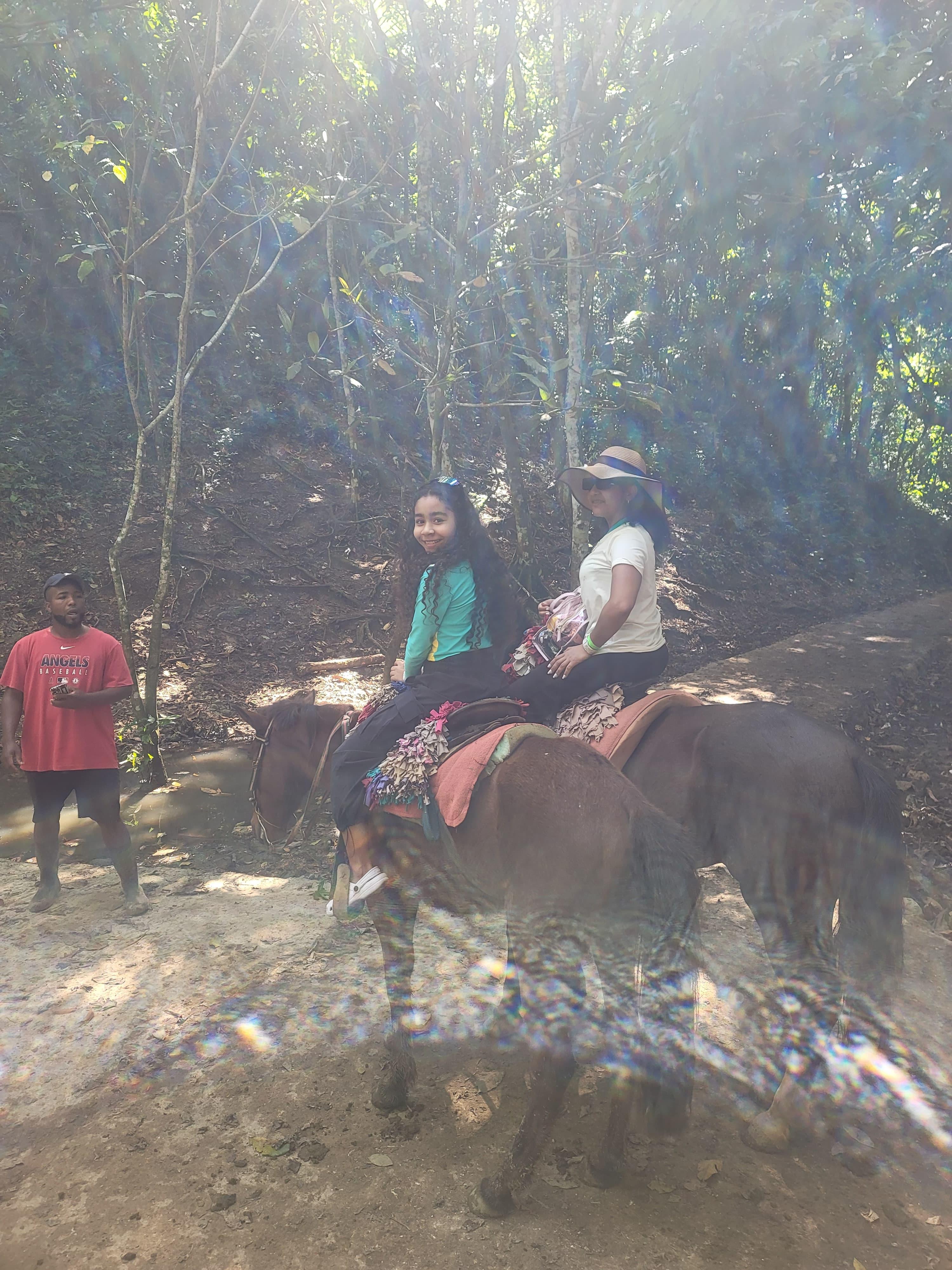Samaná Bay & El Limón Waterfall Full-Day Adventure