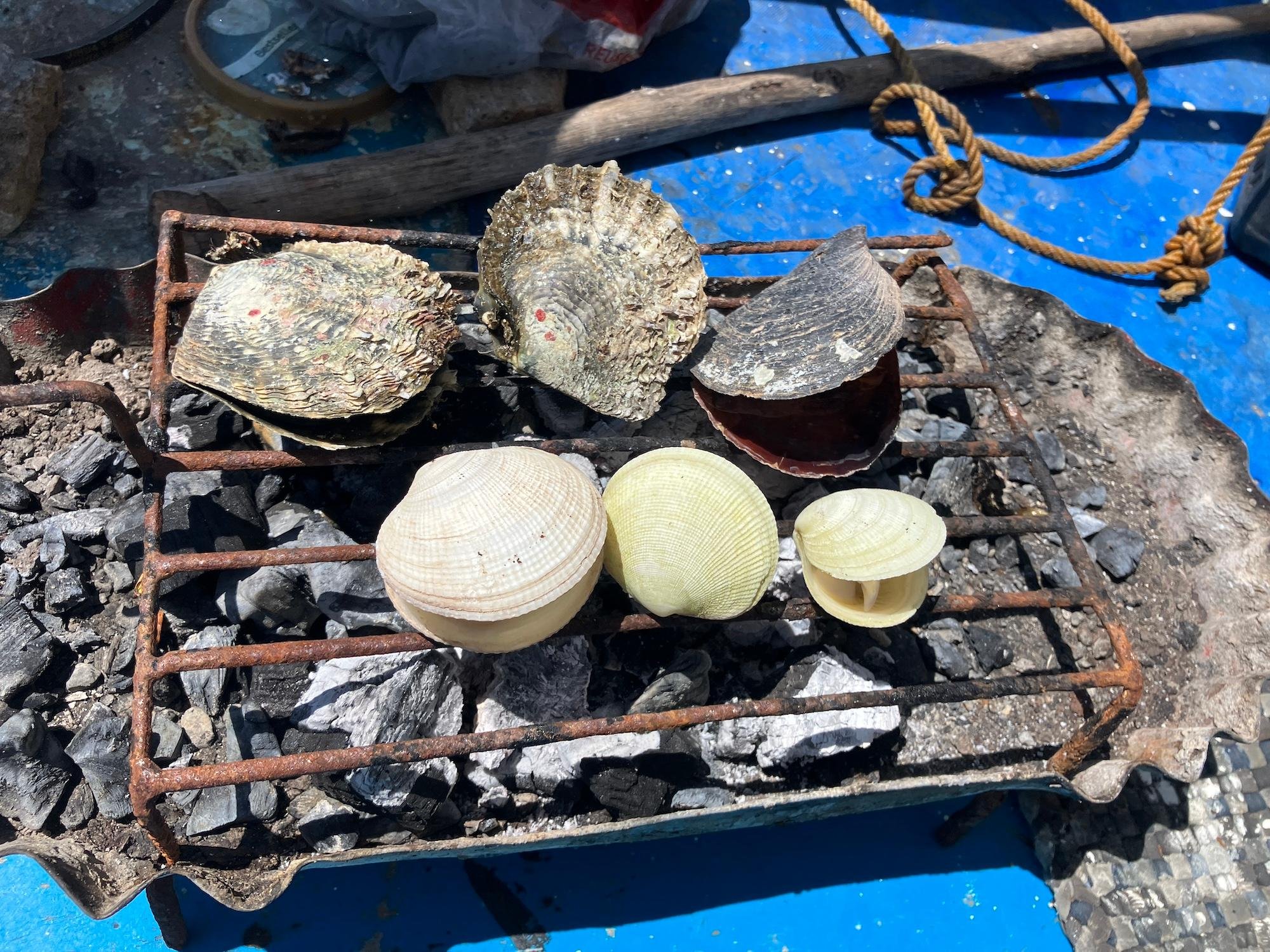 Cebu 3-Island Hopping Adventure with BBQ Lunch
