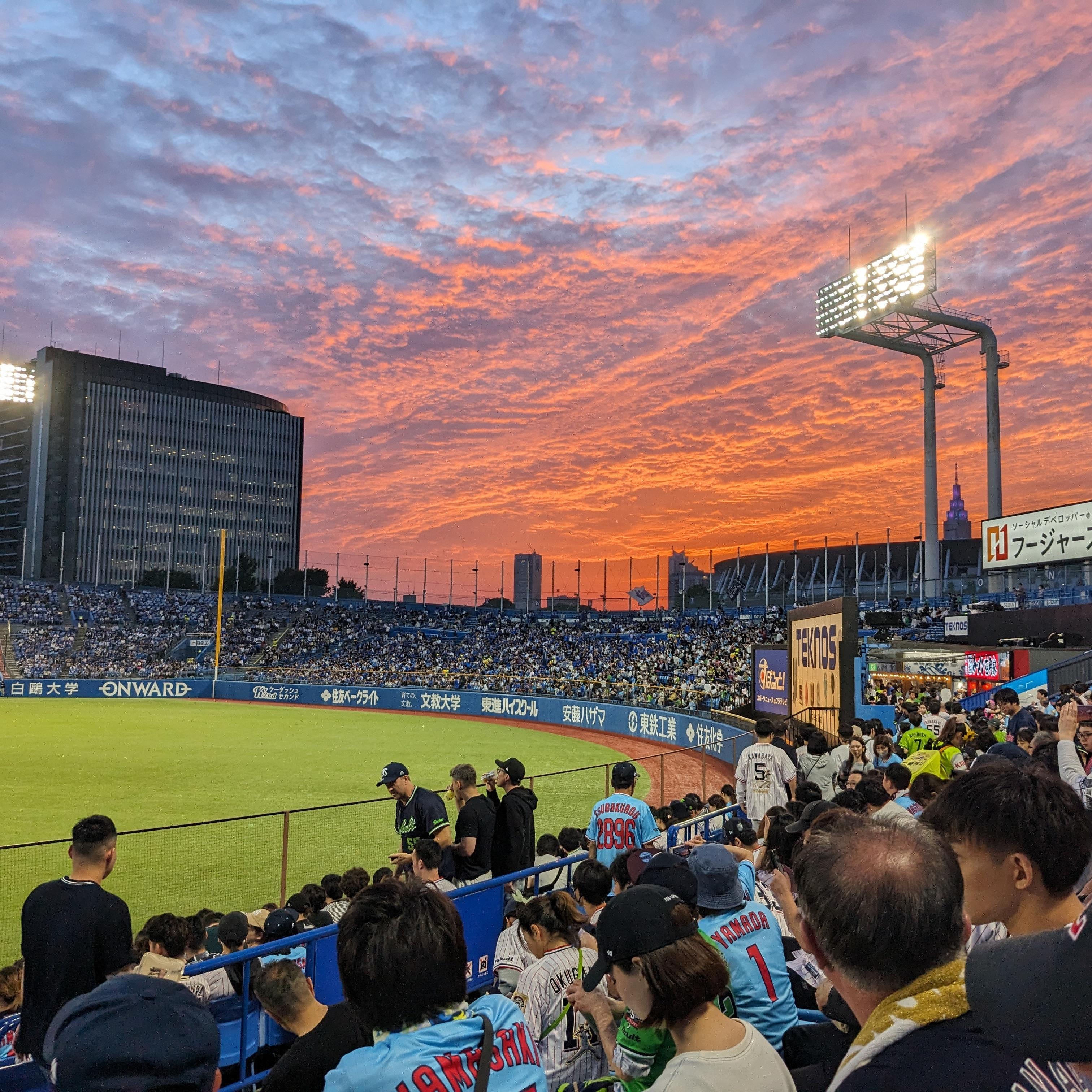 Live Baseball Game Experience with Local Guide