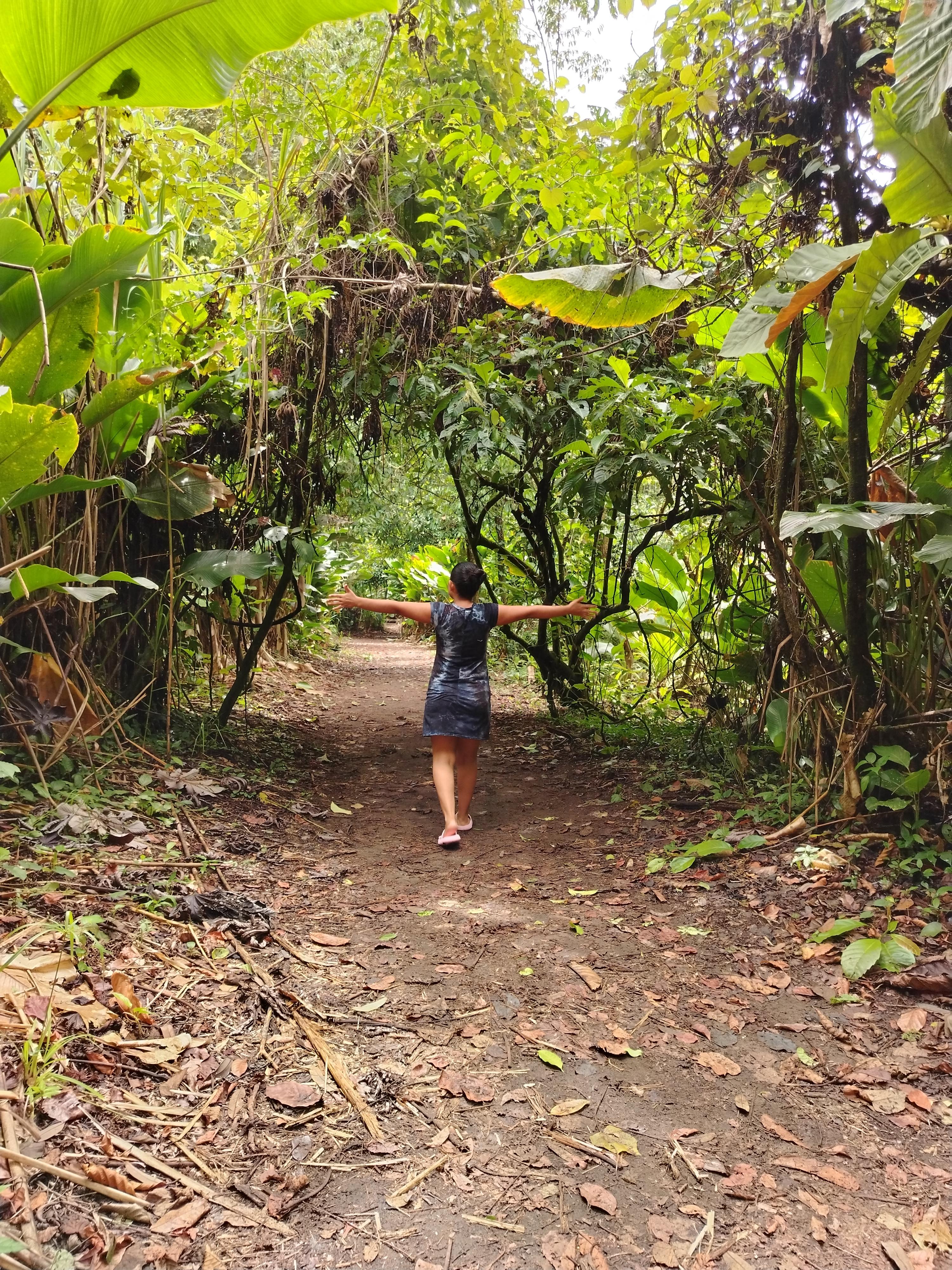 Tortuguero Rainforest Hiking Adventure