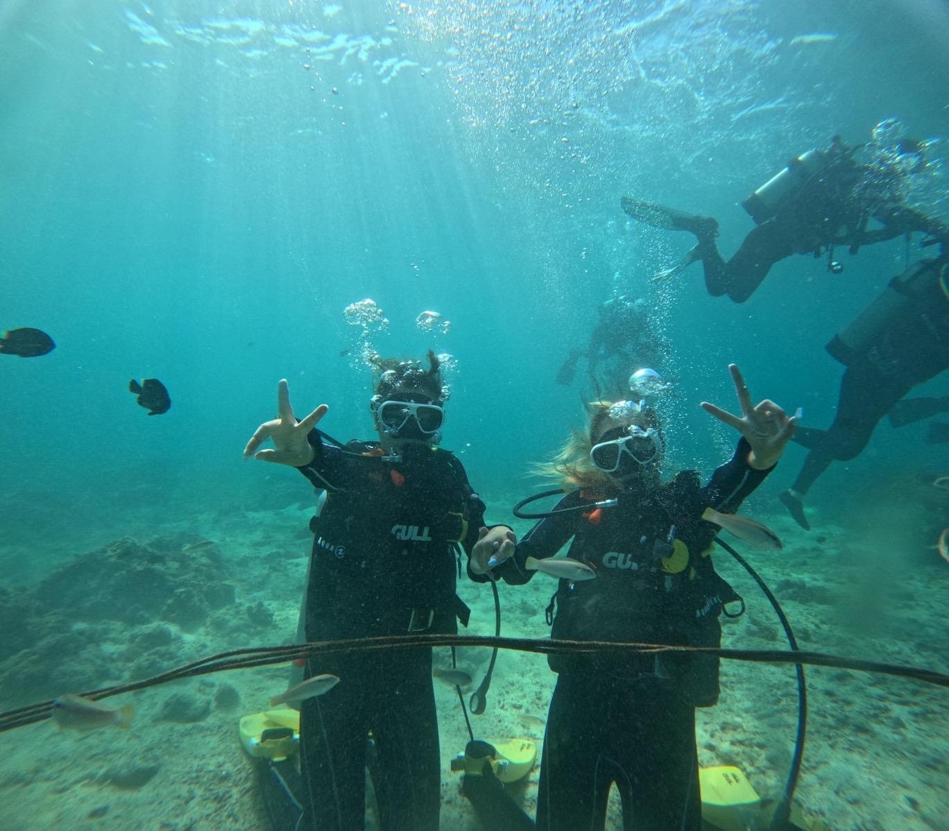 Cebu Mactan Island: Snorkeling & Choose-Your-Own Water Sports Adventure