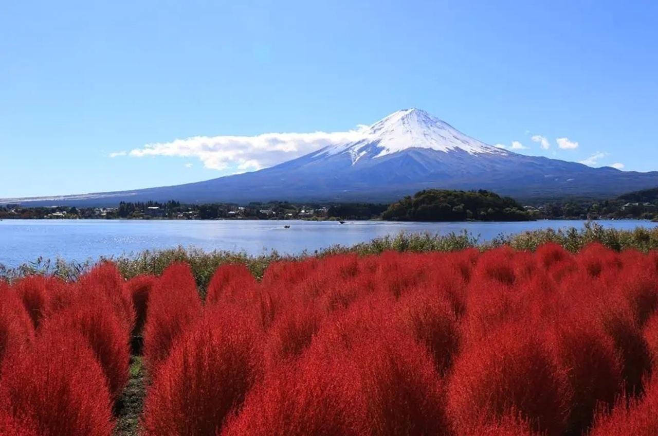 Mt. Fuji Seasonal Discovery: Fruit Picking & Scenic Train Day Tour