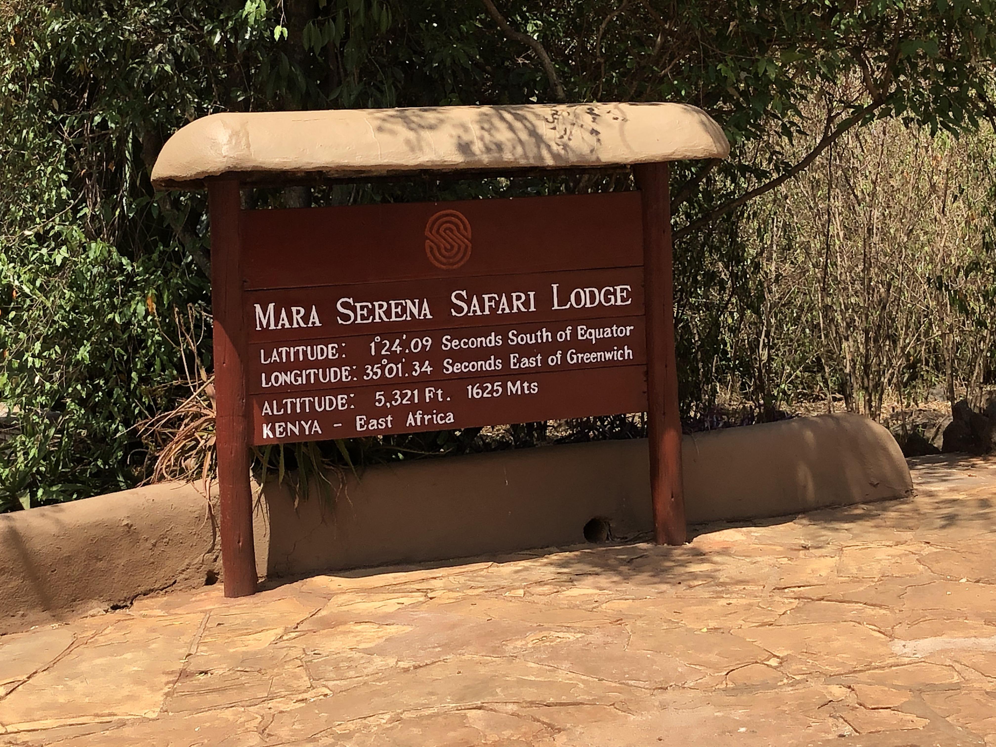 Maasai Mara Express: 1-Day Safari from Nairobi