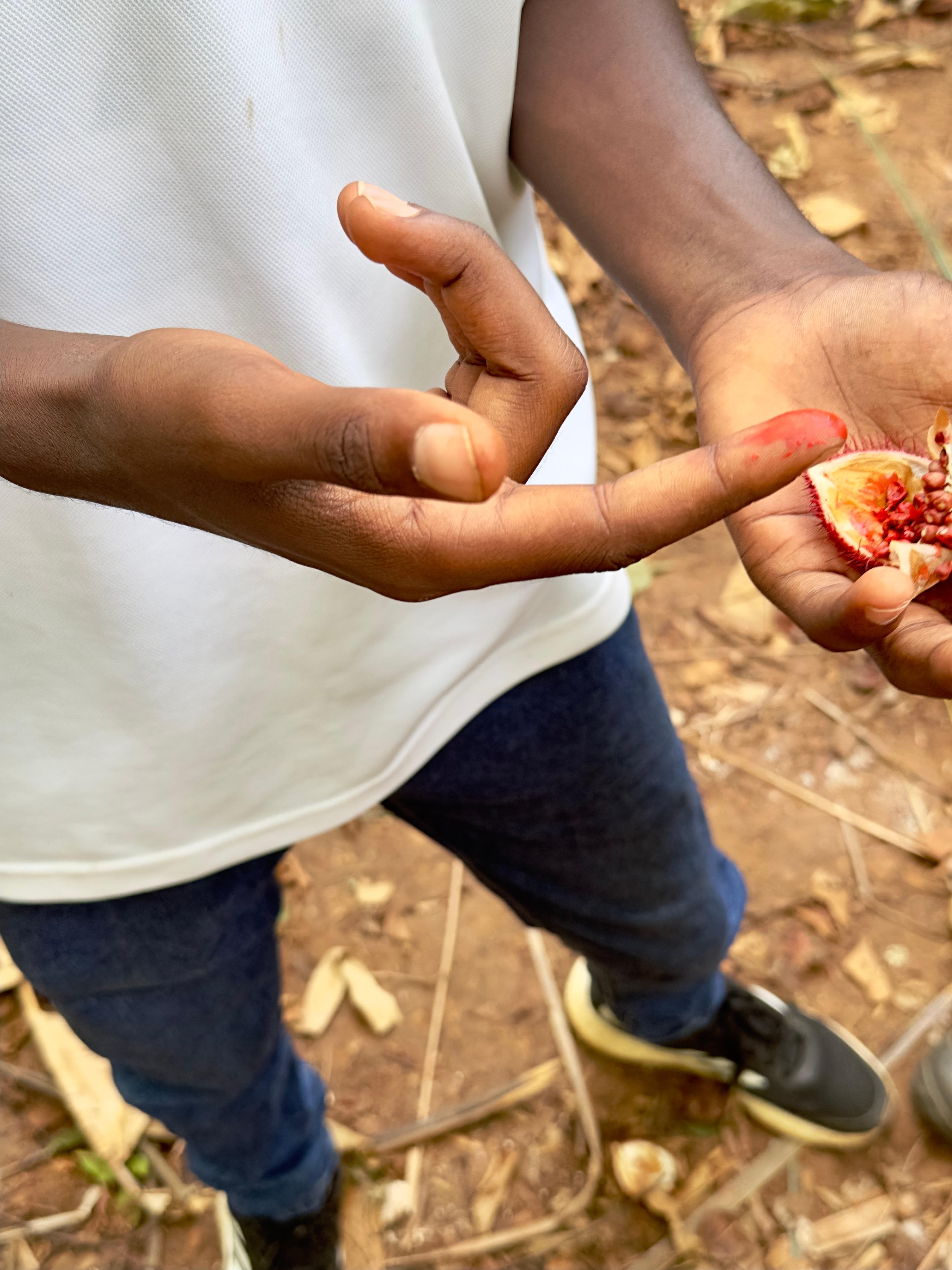 Zanzibar Full-Day Discovery: Stone Town, Spice Farm & Prison Island