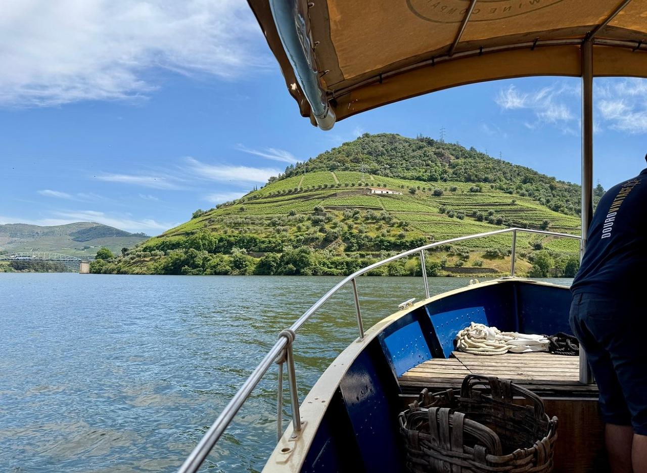 Douro Valley Small-Group Wine & Boat Tour from Porto