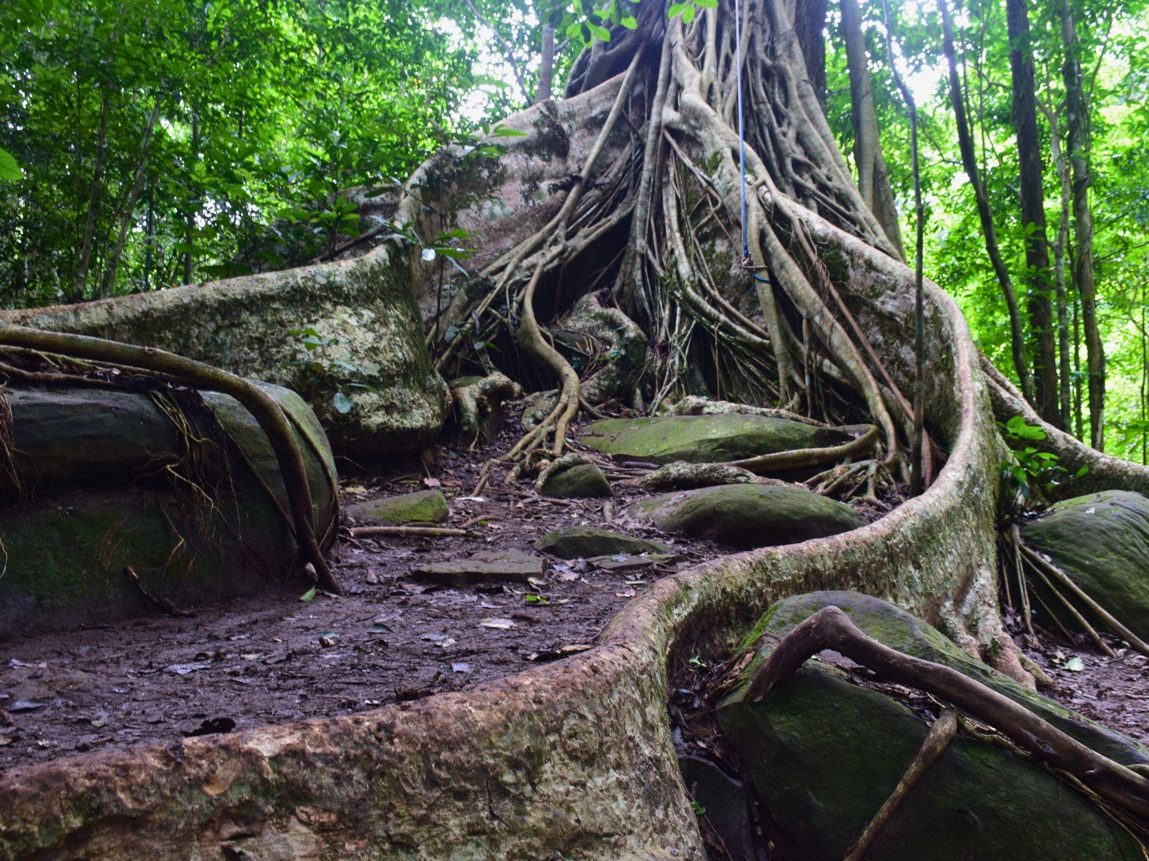 Khao Yai 2-Day Trekking & Stargazing Adventure from Bangkok