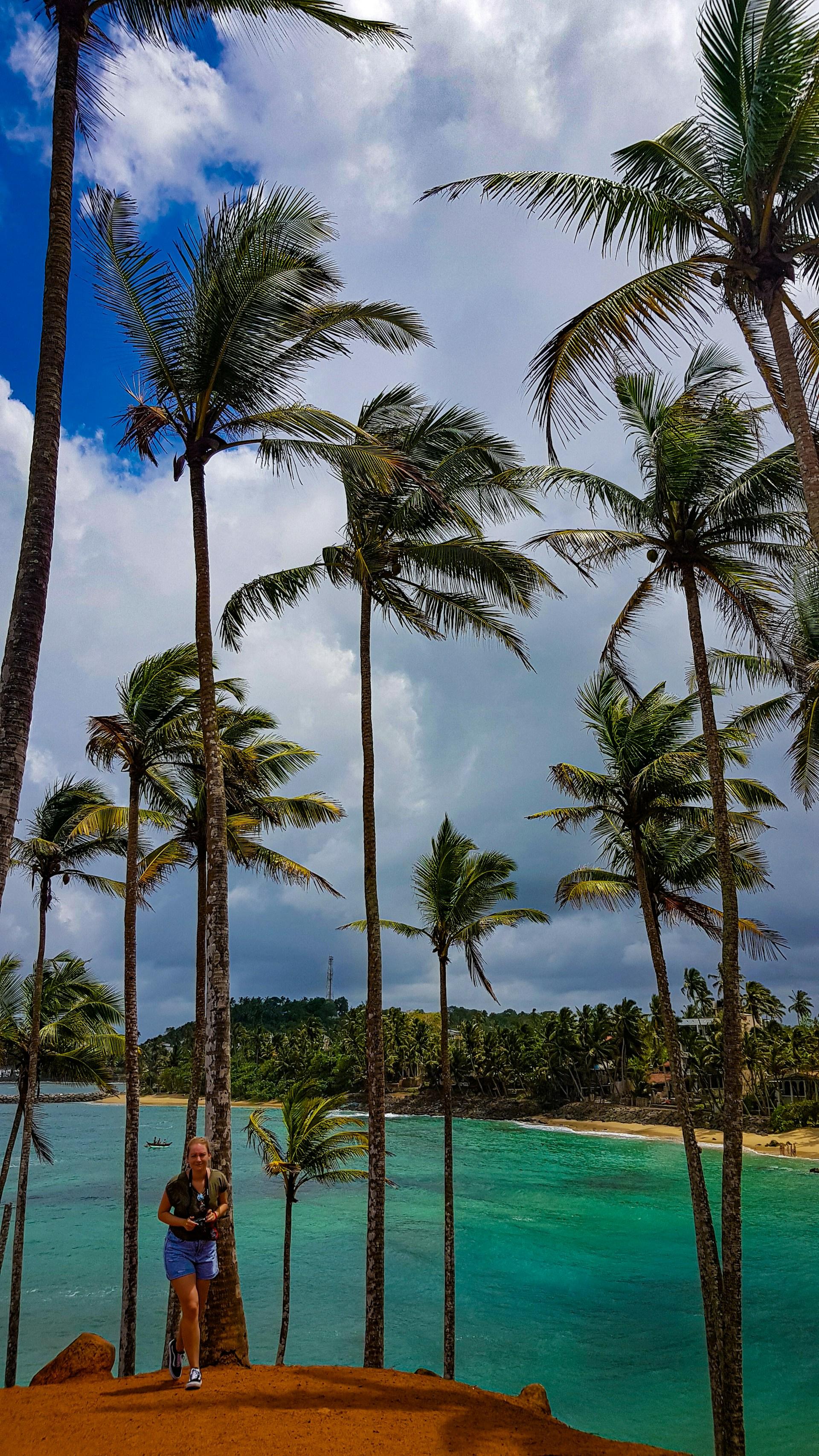 Colombo to Galle & Jungle Beach Private Day Trip