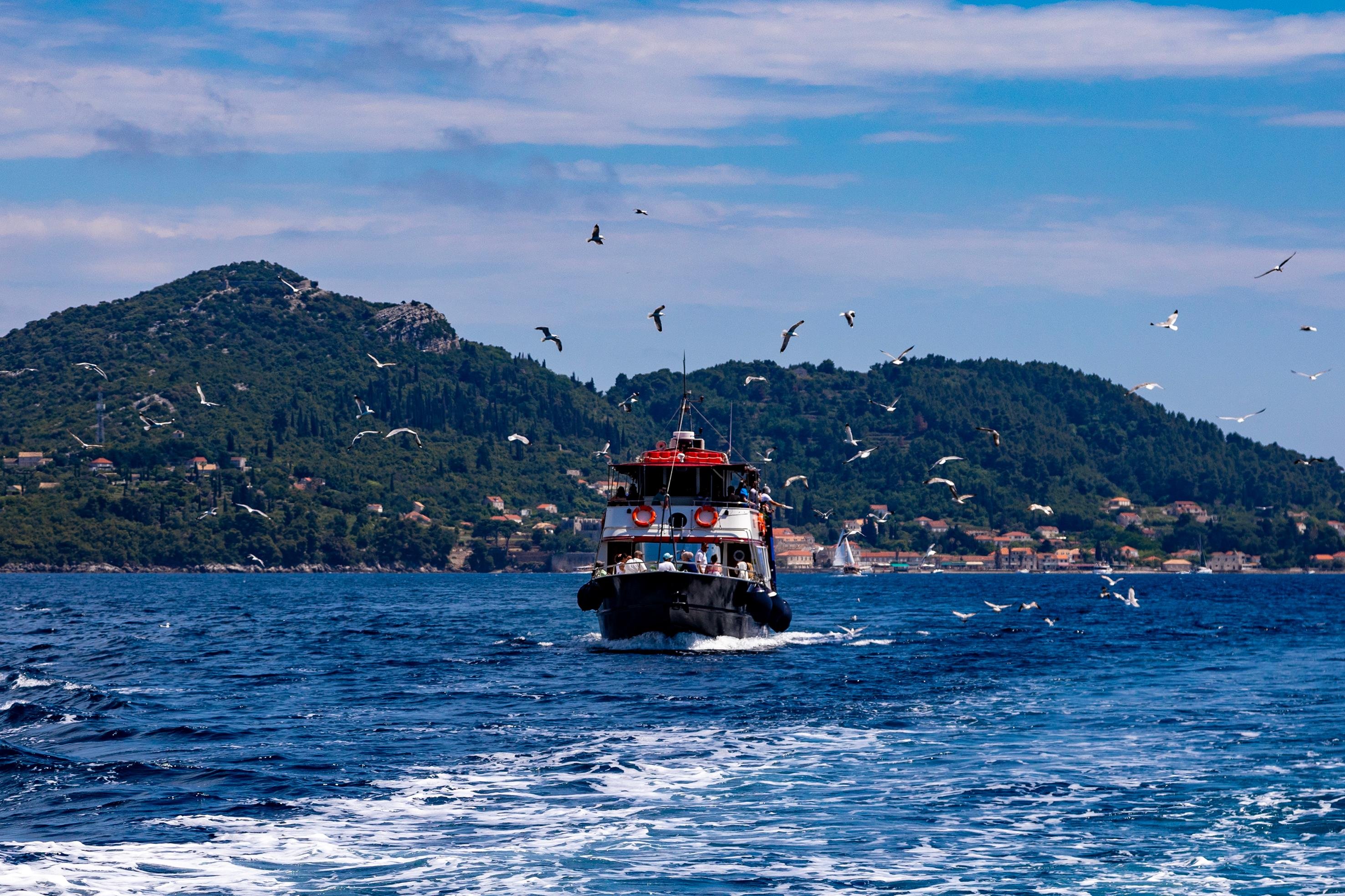 Elaphite Islands Day Cruise from Dubrovnik with Drinks & Optional Lunch