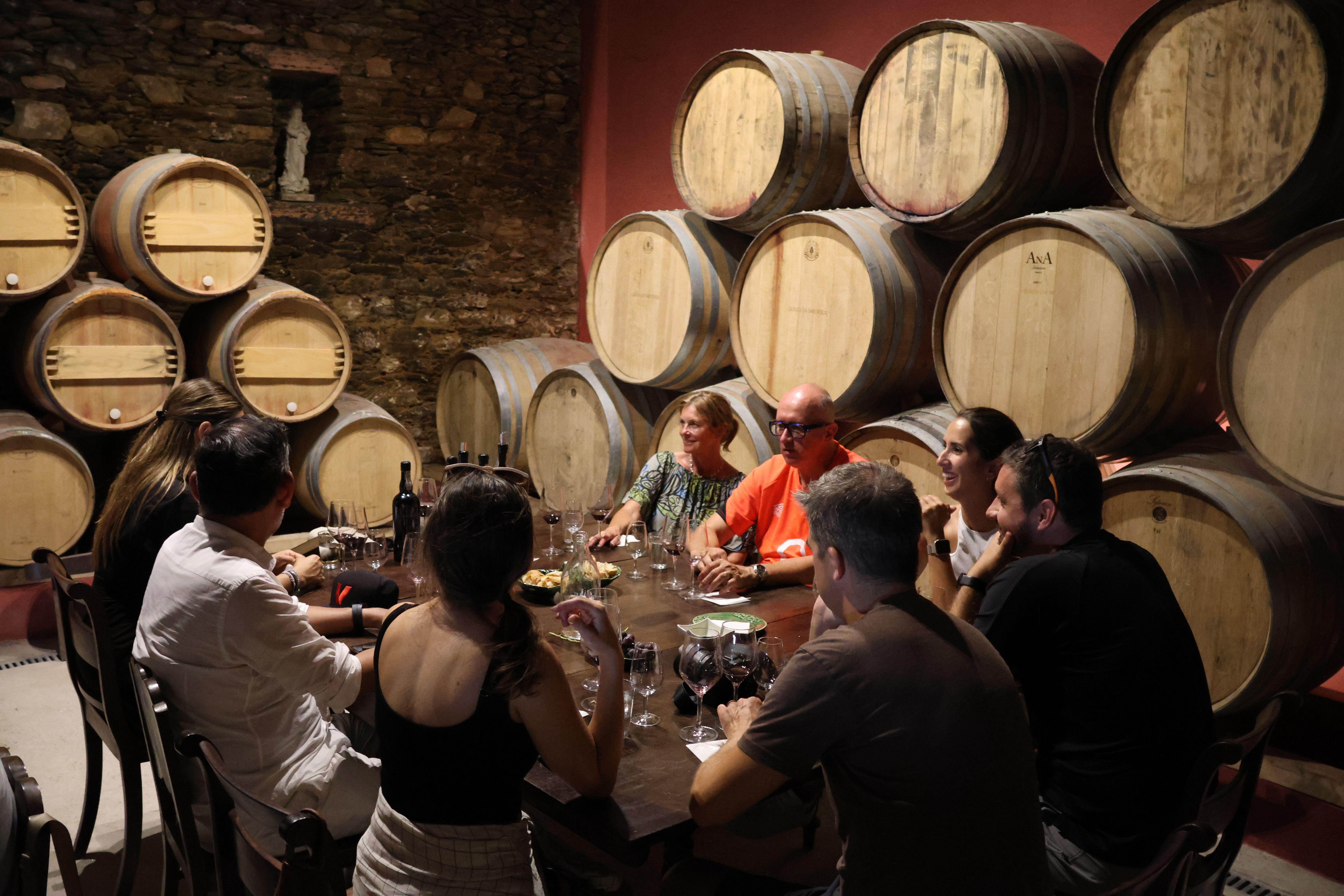 Douro Valley Wine & Cruise Day Trip from Porto
