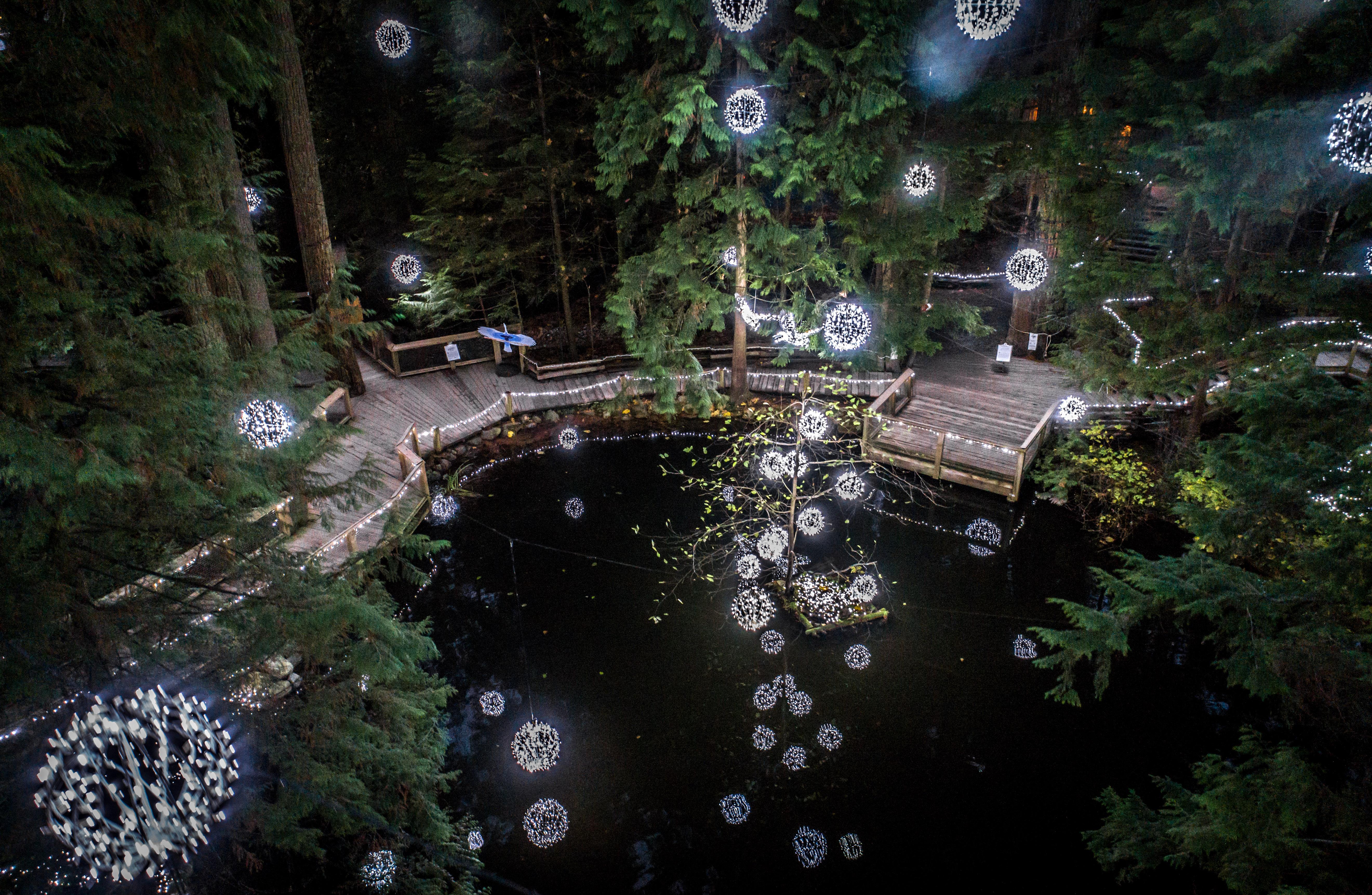Capilano Suspension Bridge Park Entry