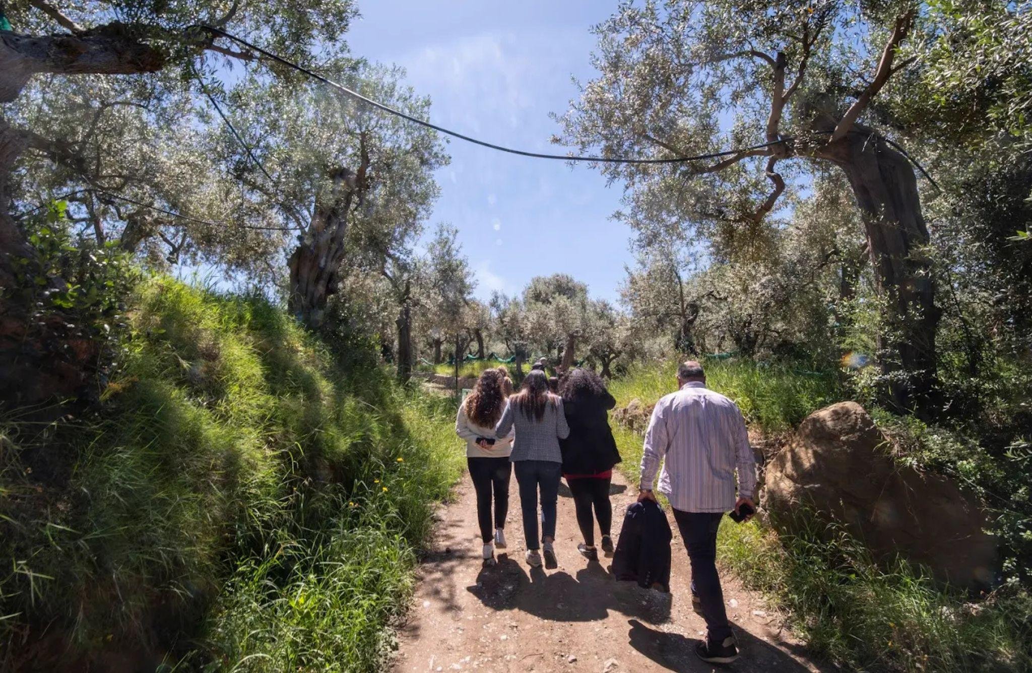 Sorrento DOP Winery Tour with Wine & Antipasto Tasting