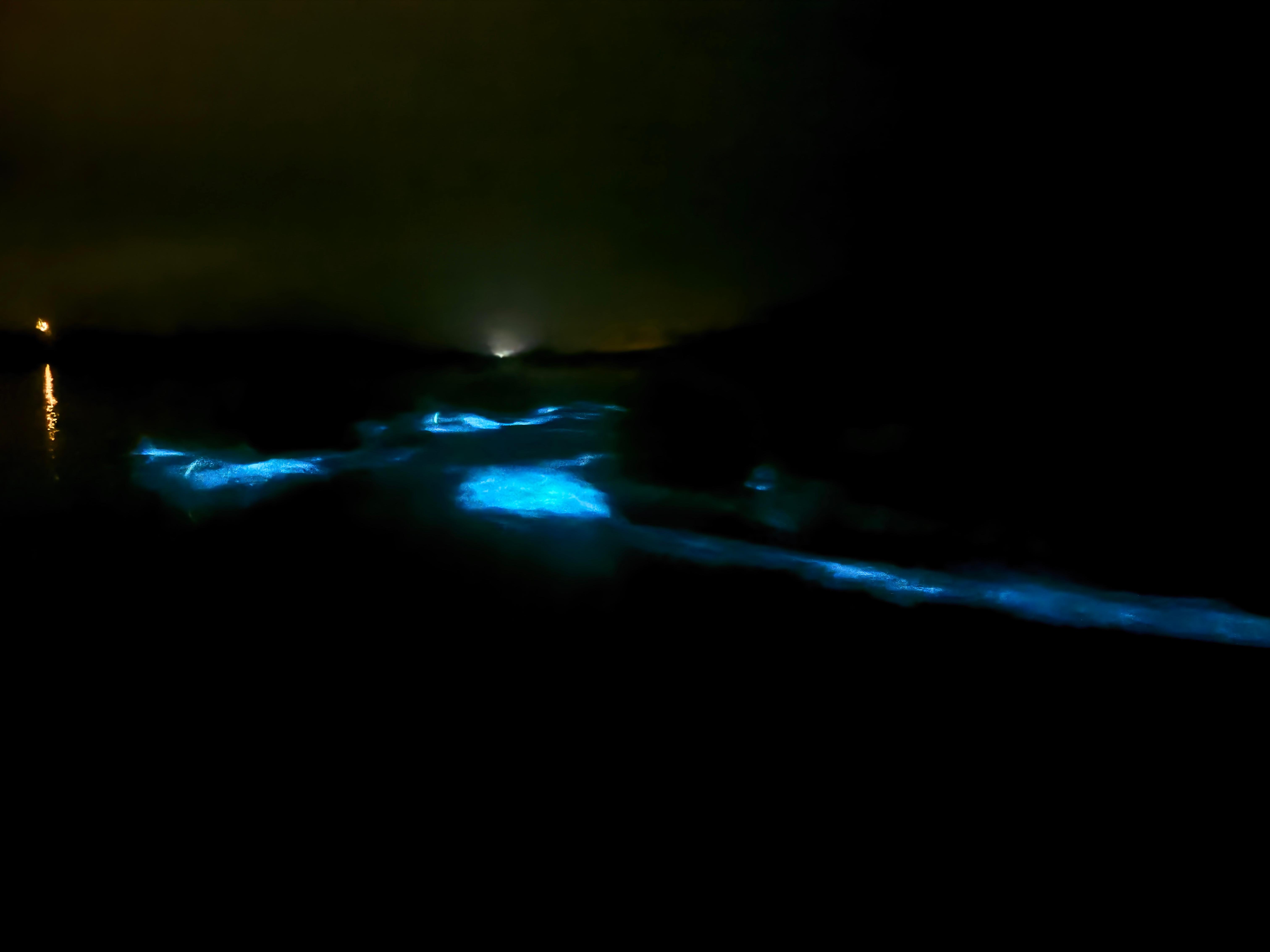 Vieques Bioluminescent Bay Transparent Canoe Adventure
