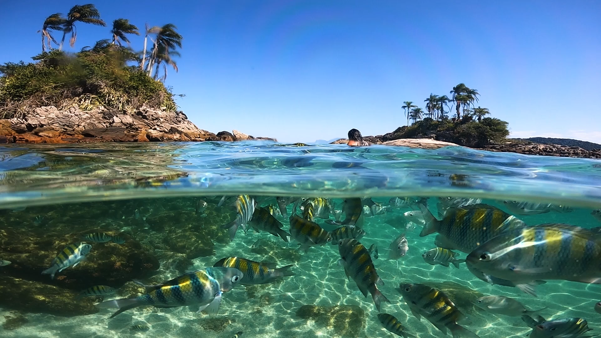 Angra dos Reis Private Paradise Islands Boat Tour