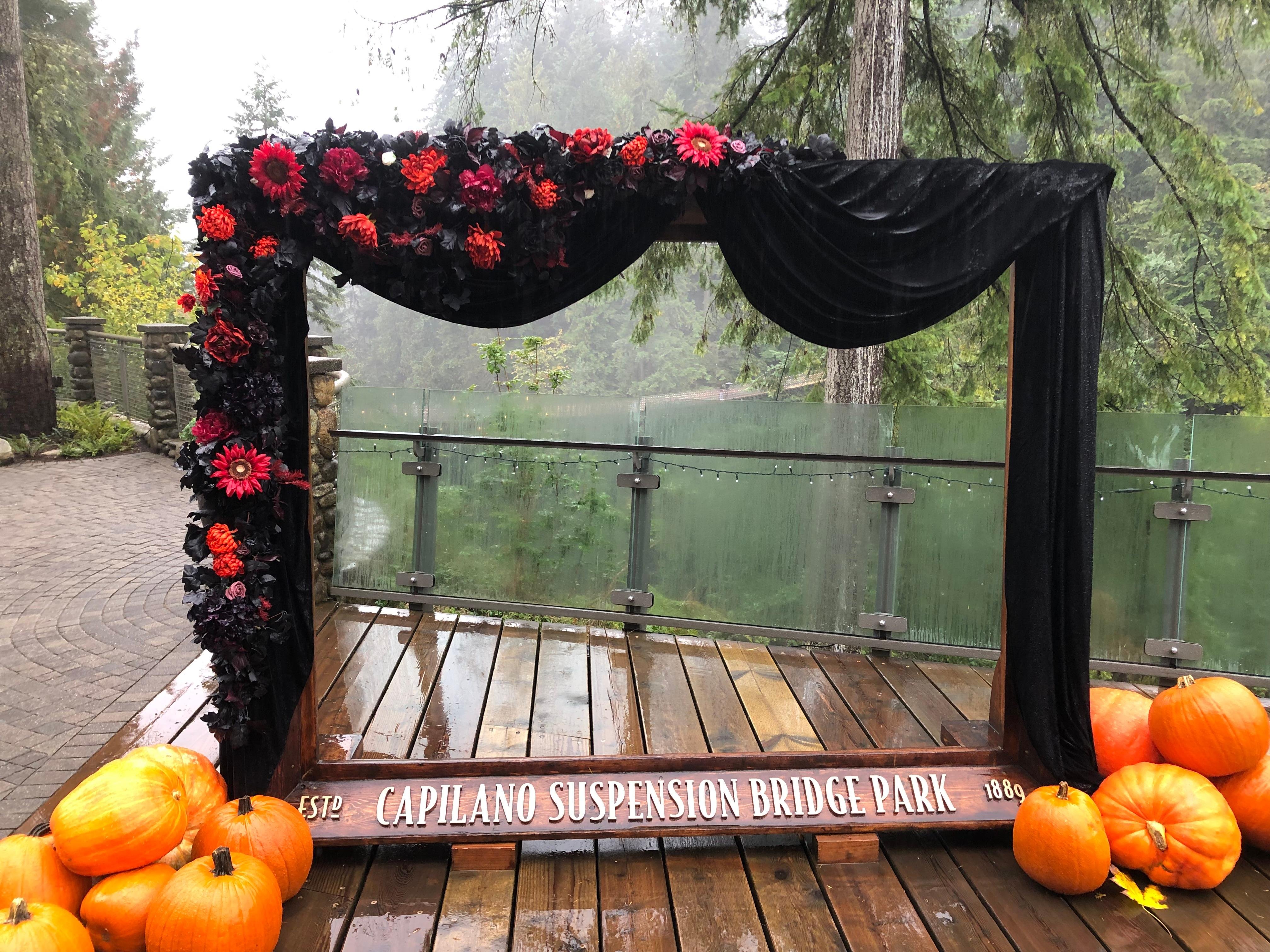 Capilano Suspension Bridge & Stanley Park Small Group Tour