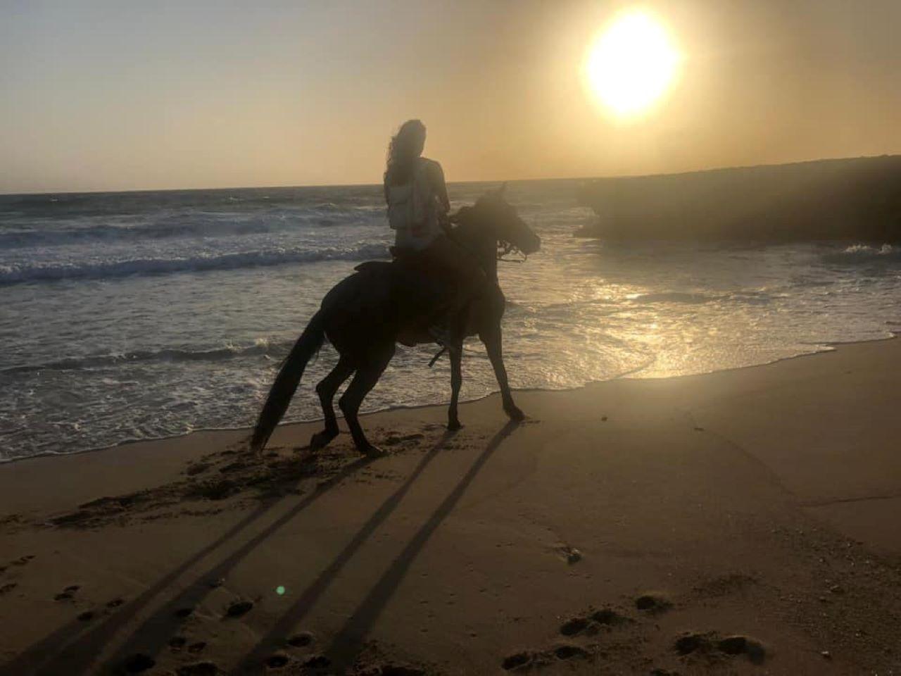 Aruba Sunrise Horseback Ride with Hotel Pickup