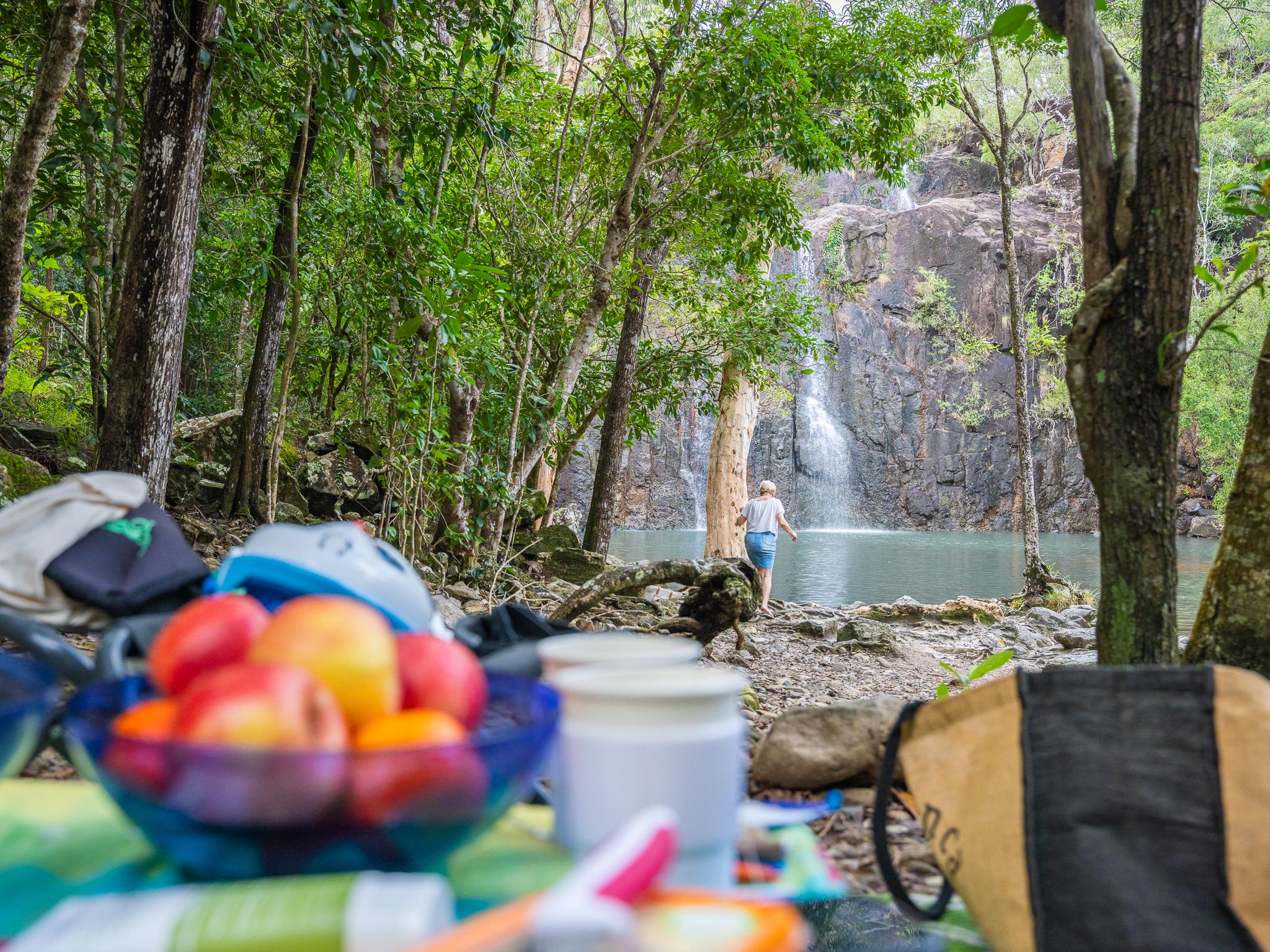 Cedar Creek Falls Eco Tour from Airlie Beach