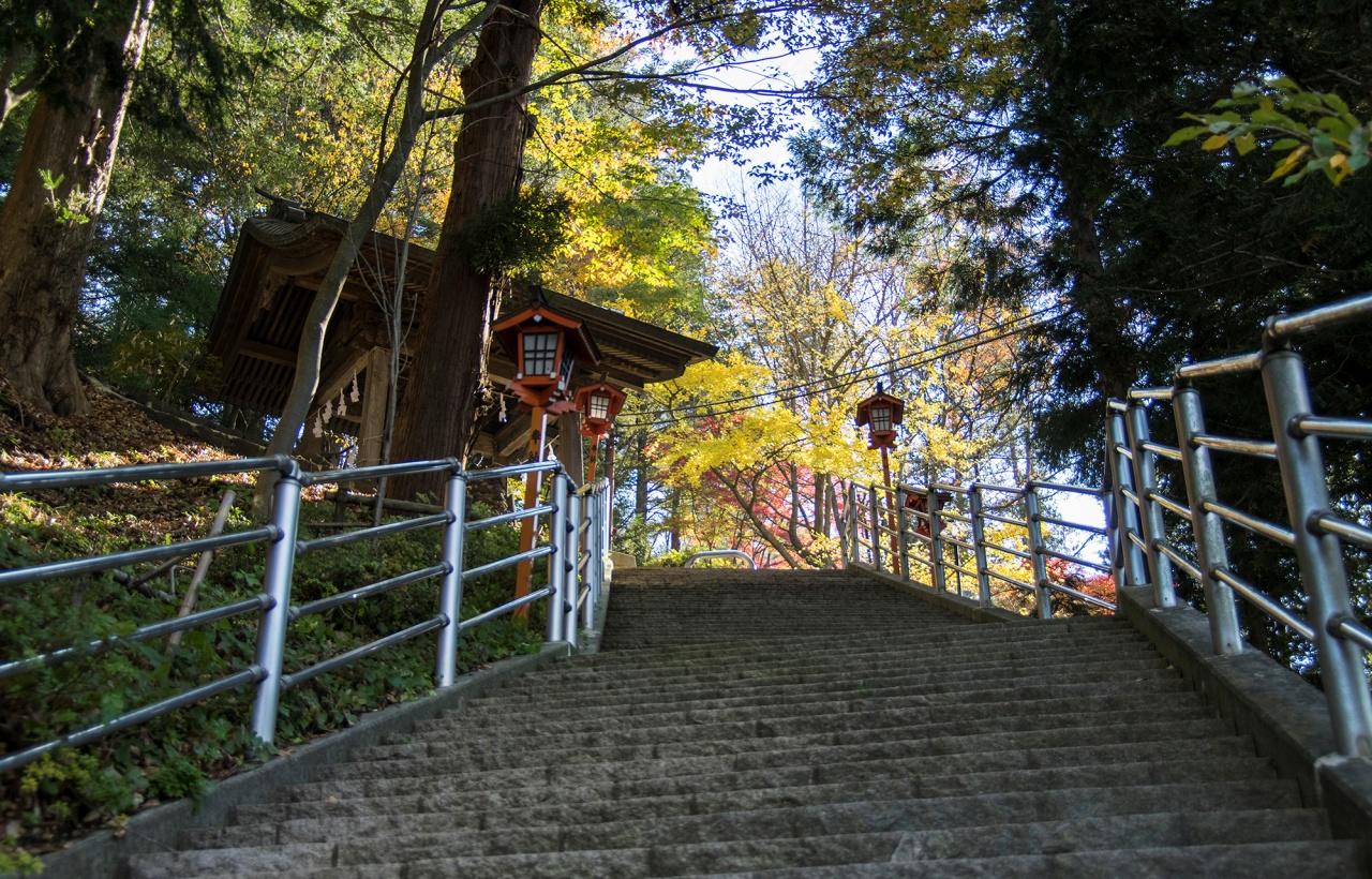 Mt. Fuji Scenic Highlights & Lake Kawaguchi Day Trip from Tokyo