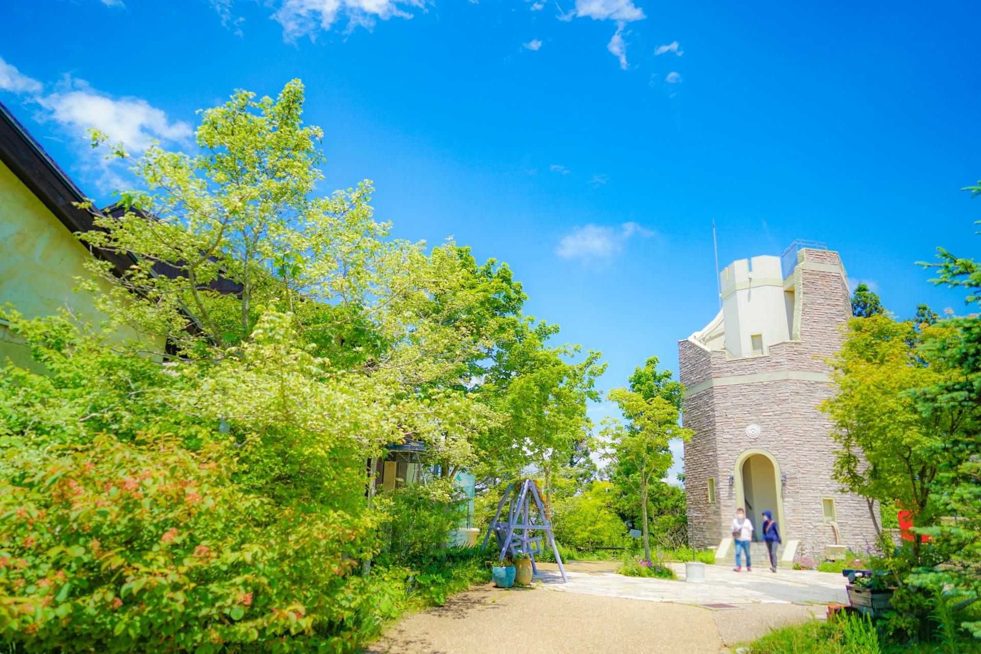 Himeji Castle, Arima Onsen & Mt. Rokko Day Tour from Osaka