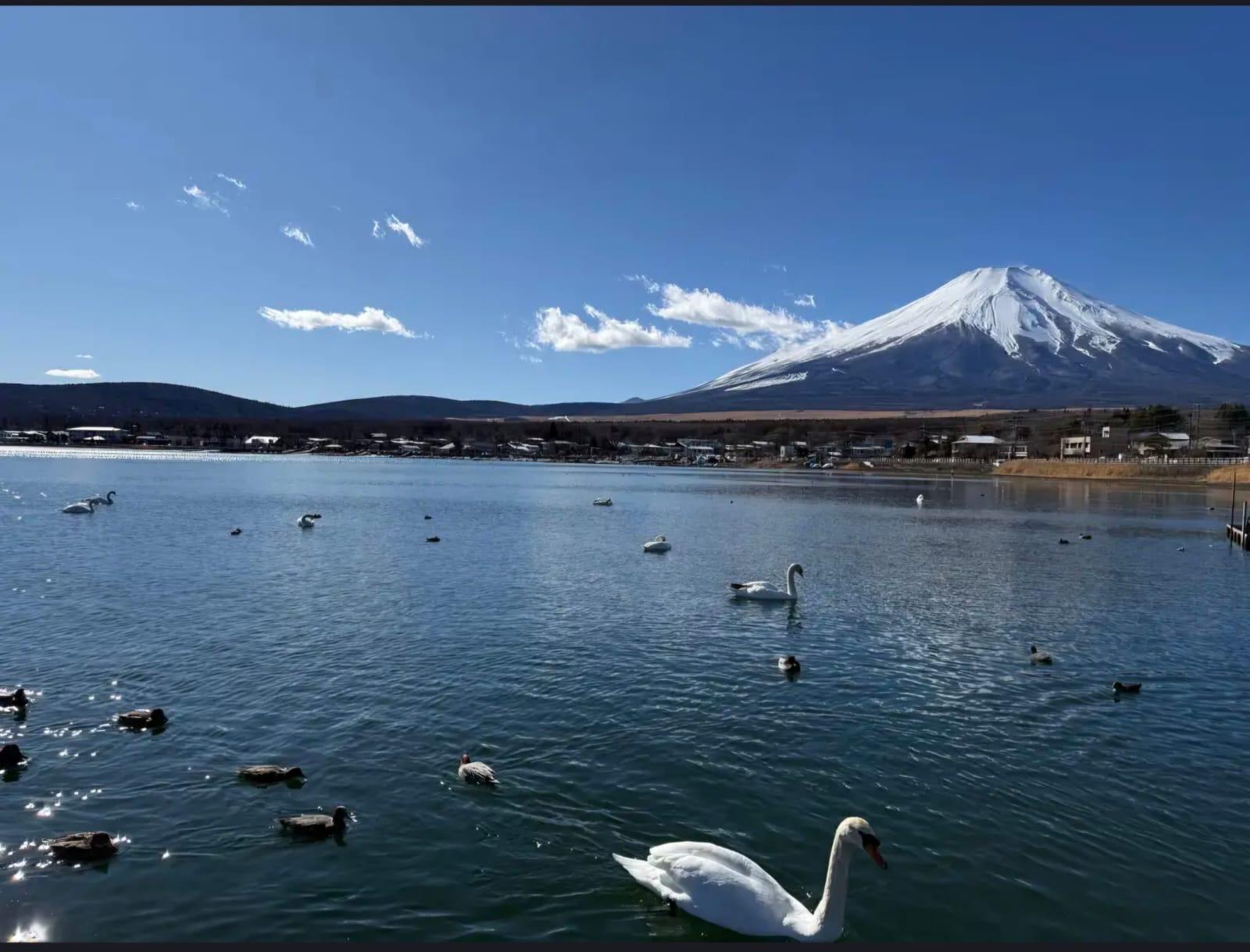 Private Mount Fuji & Hakone Day Tour from Tokyo