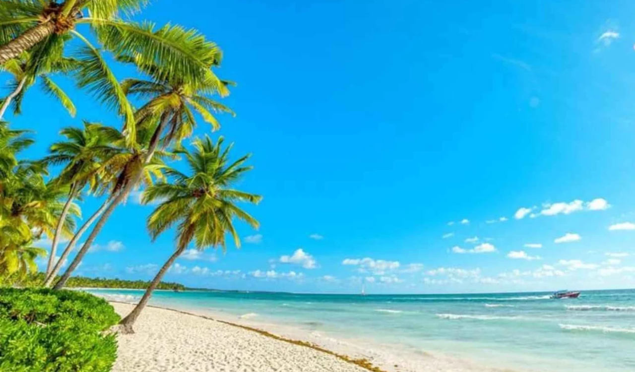 Samana Peninsula: Whale Watching & El Limon Waterfall Adventure